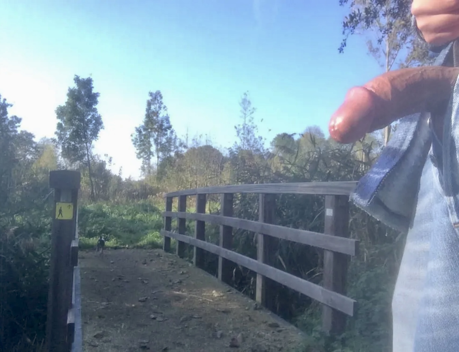 2018 My cock outdoors tried to get seen by somebody