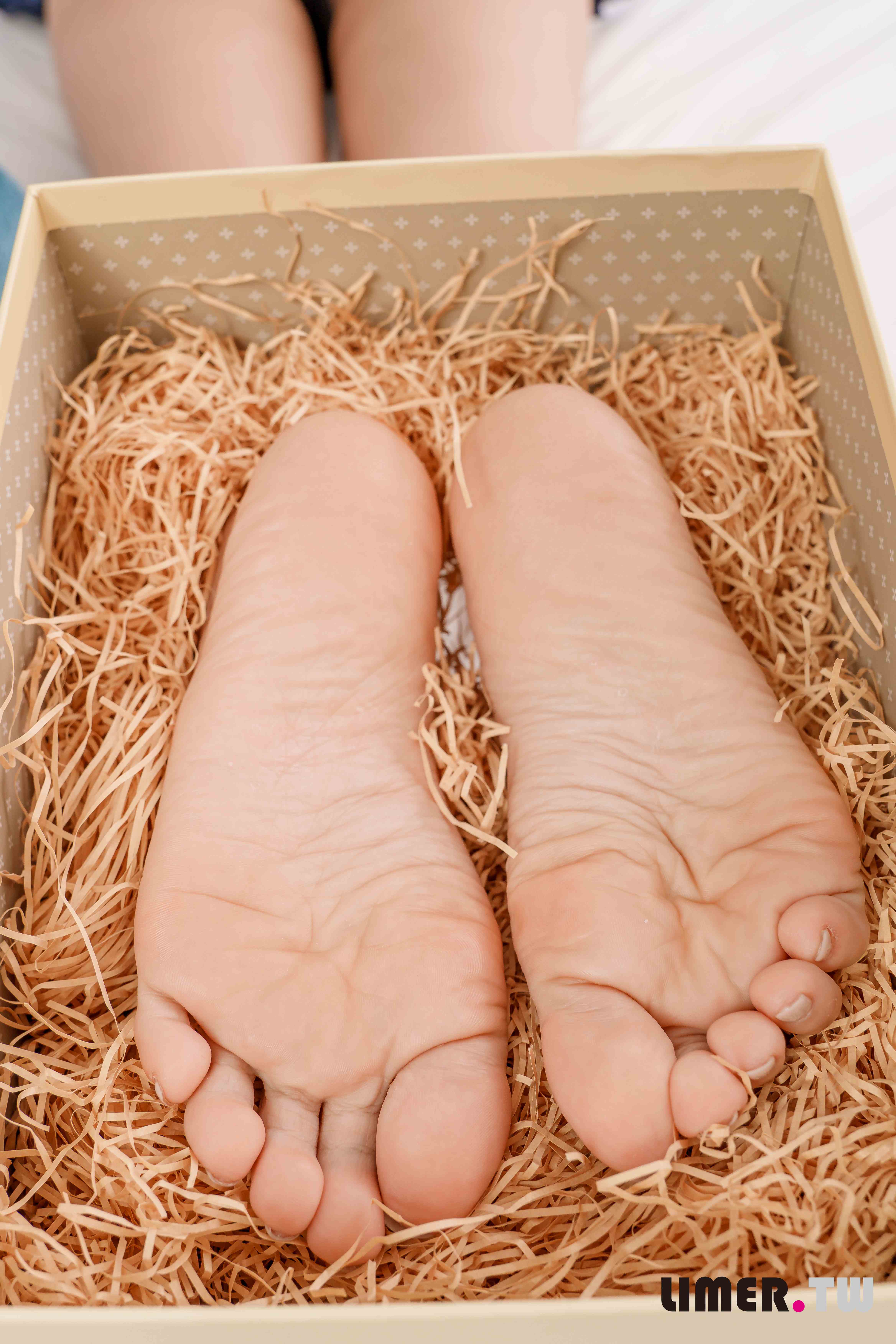 China Beauty Legs and feet 559