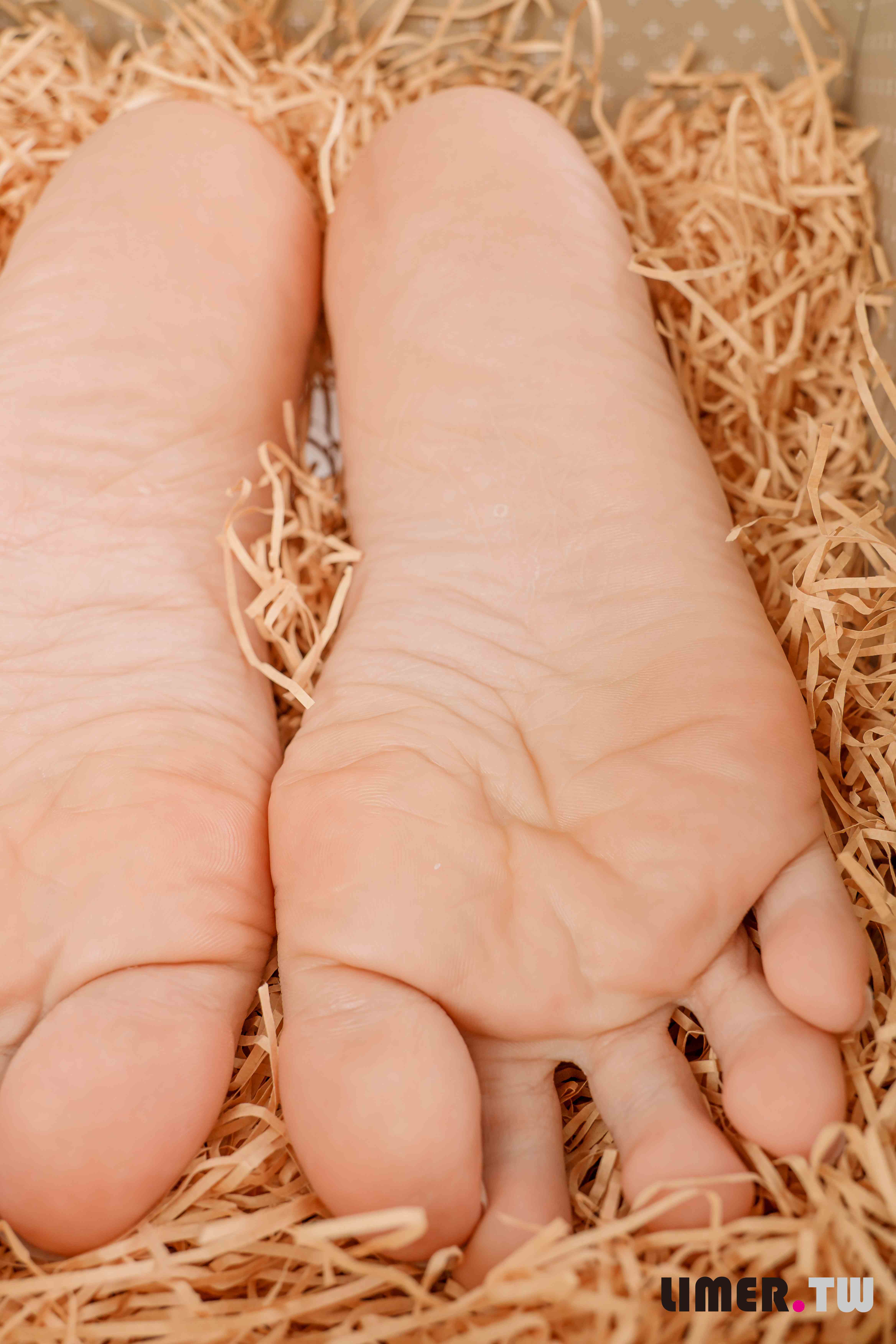 China Beauty Legs and feet 559