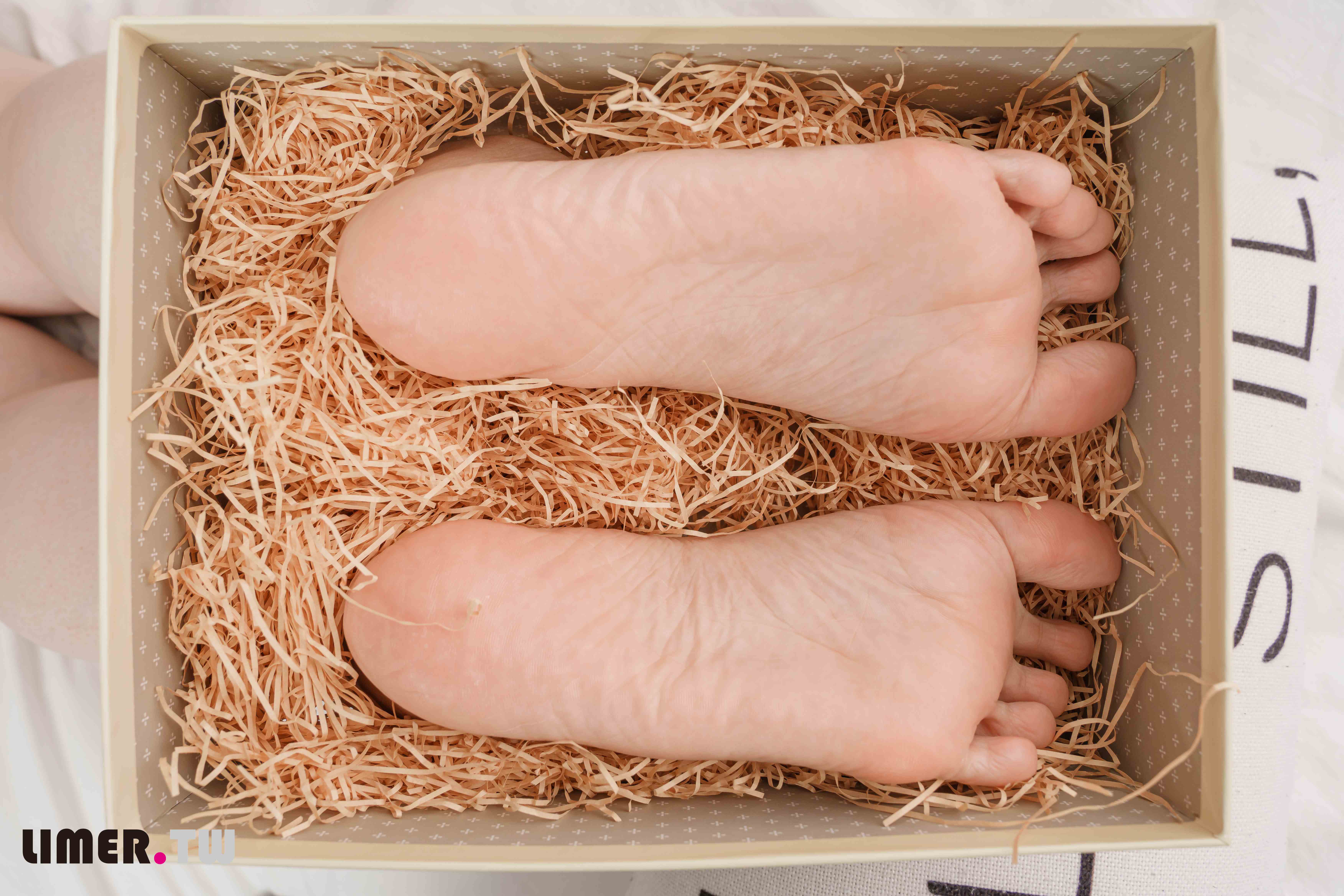 China Beauty Legs and feet 606