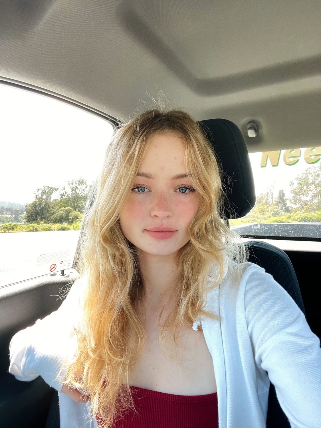 Sexy Blonde Flight Attendant Aniela