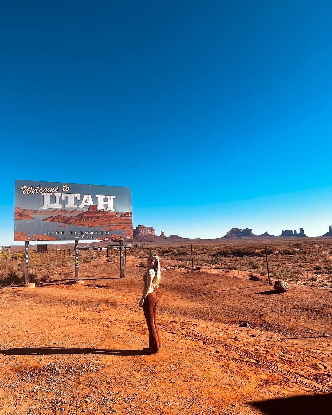 Sexy Blonde Flight Attendant Aniela