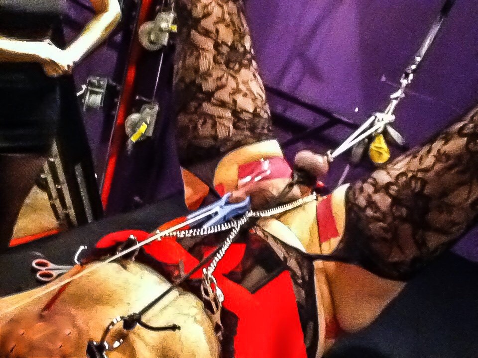 CBT cock and ball tortuer