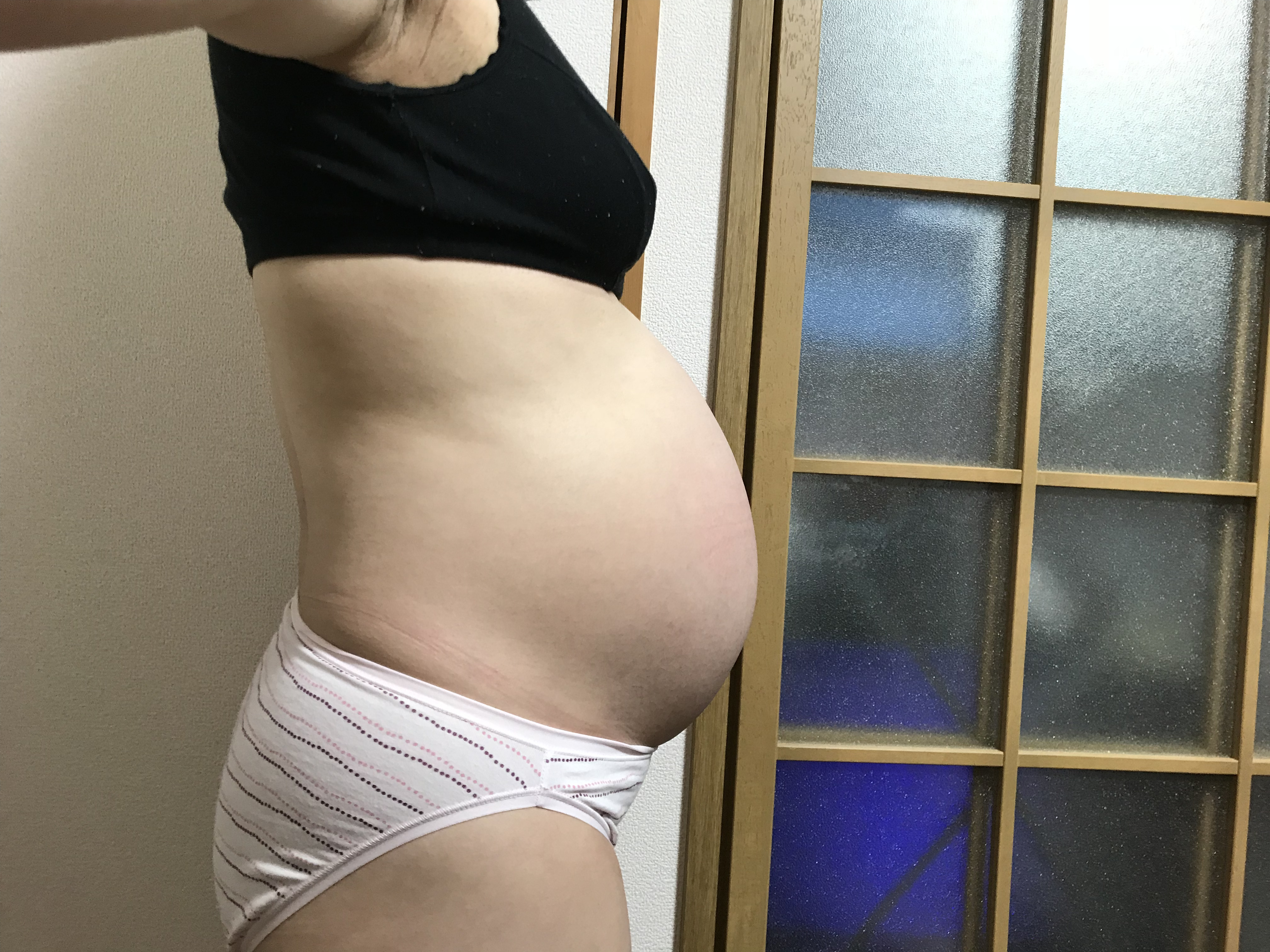 Satomi Pregnant Japanese Whore And Slut