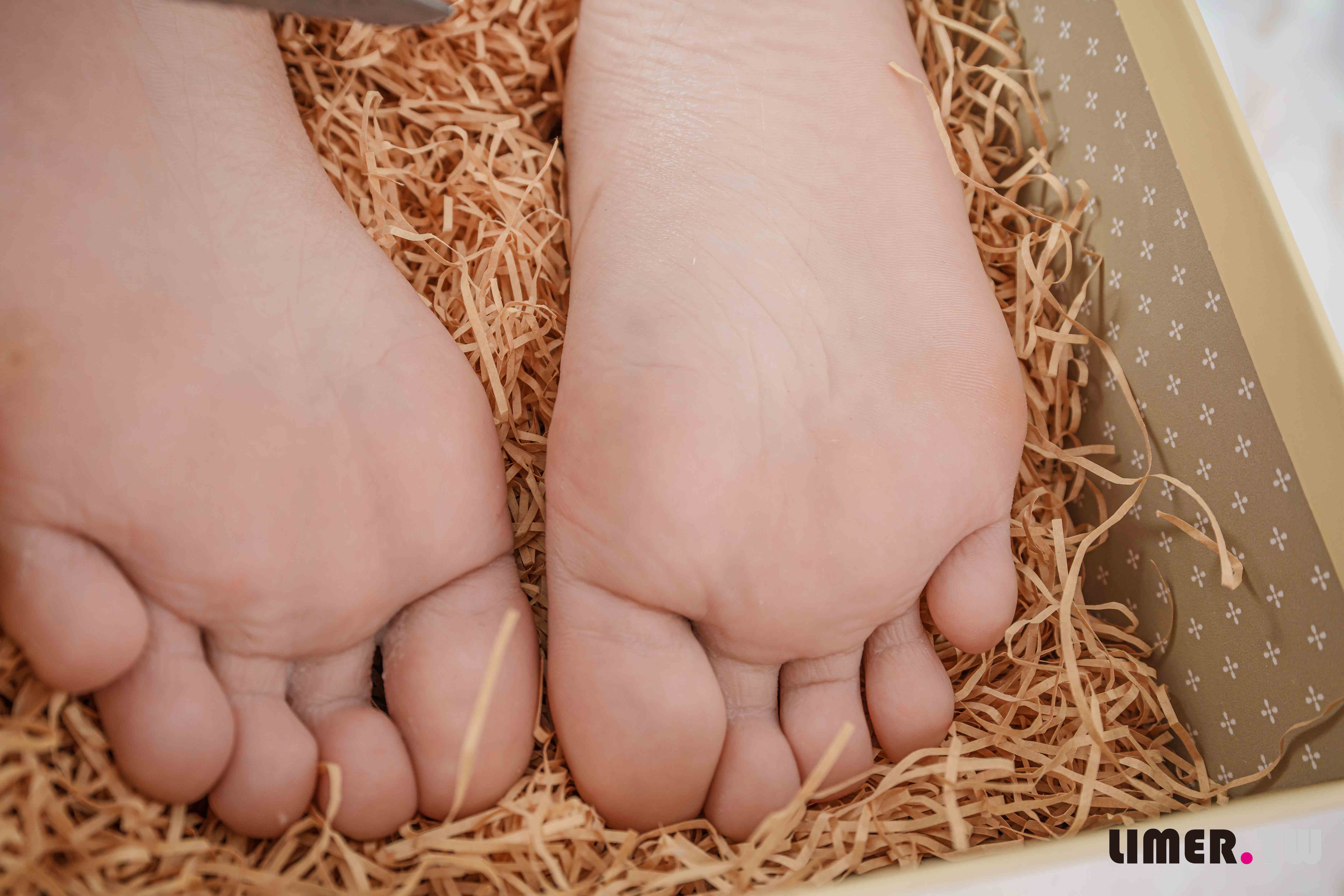 China Beauty Legs and feet 645