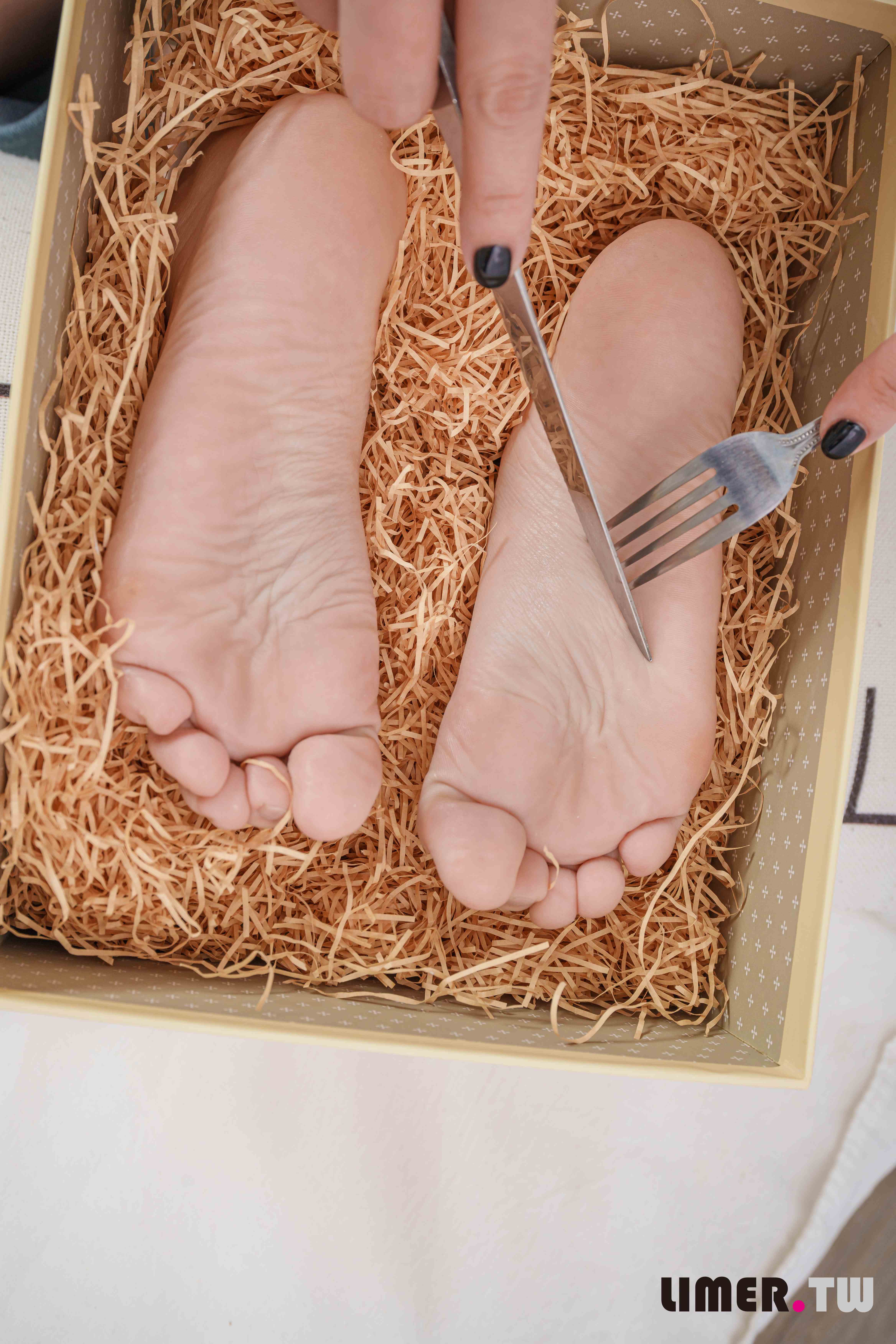 China Beauty Legs and feet 645