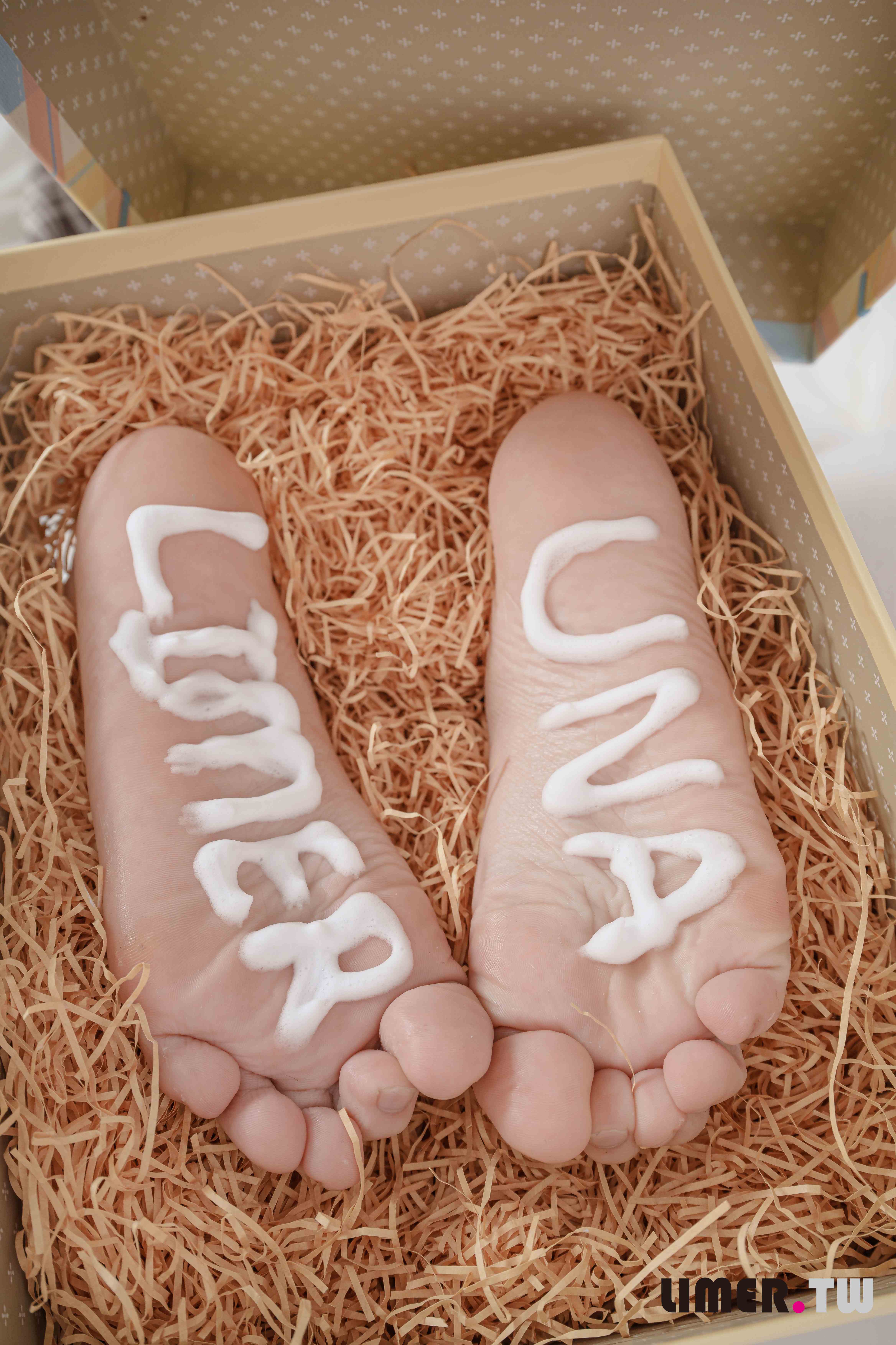 China Beauty Legs and feet 645