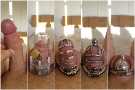 cock and ball tourture