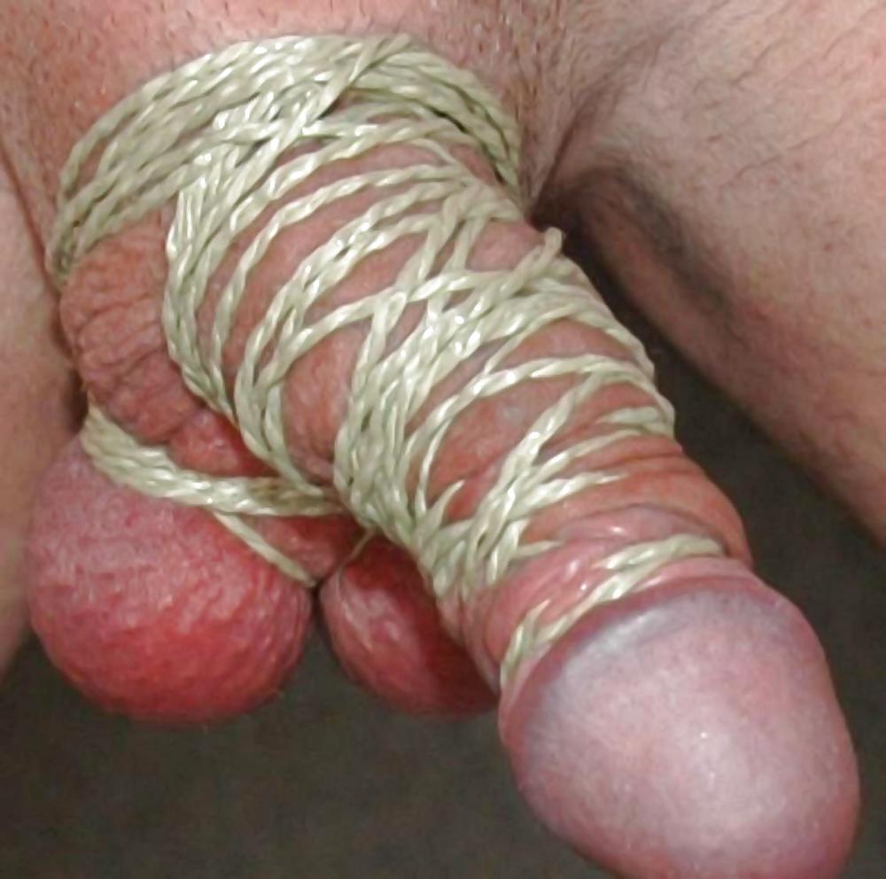 cock and ball tourture