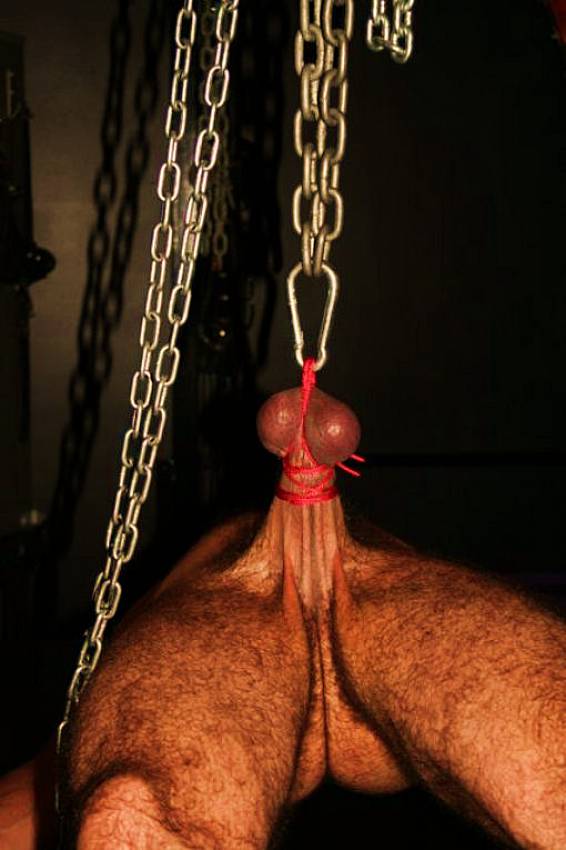 cock and ball tourture