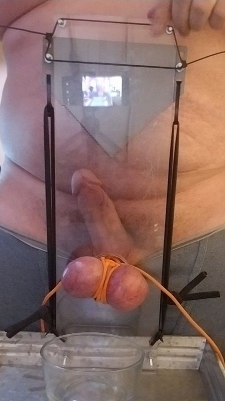 cock and ball tourture