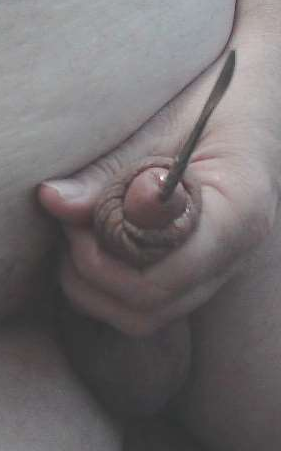 cock and ball tourture