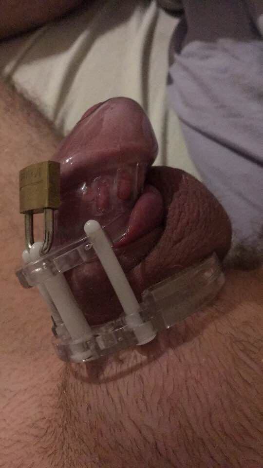 cock and ball tourture