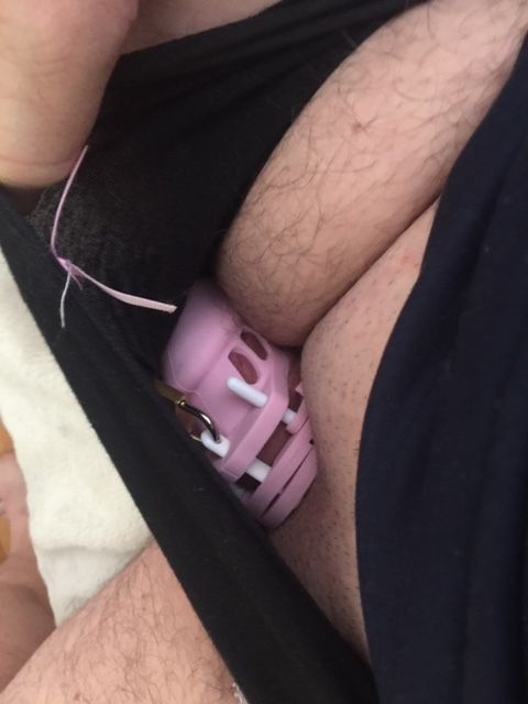 cock and ball tourture