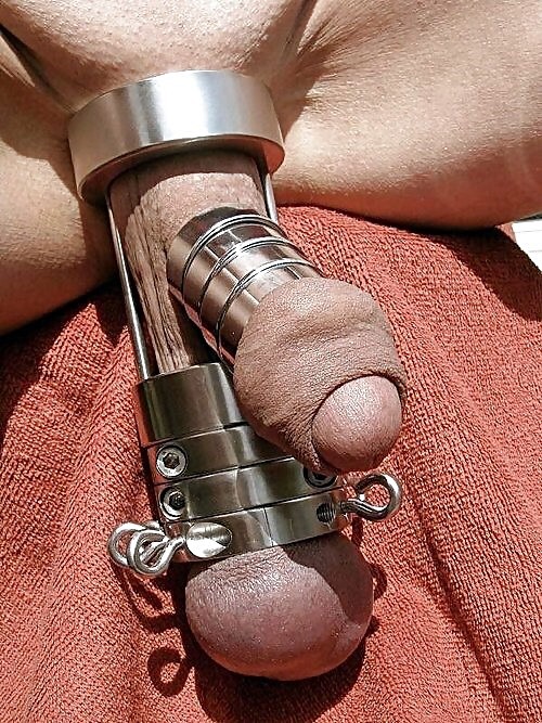 cock and ball tourture