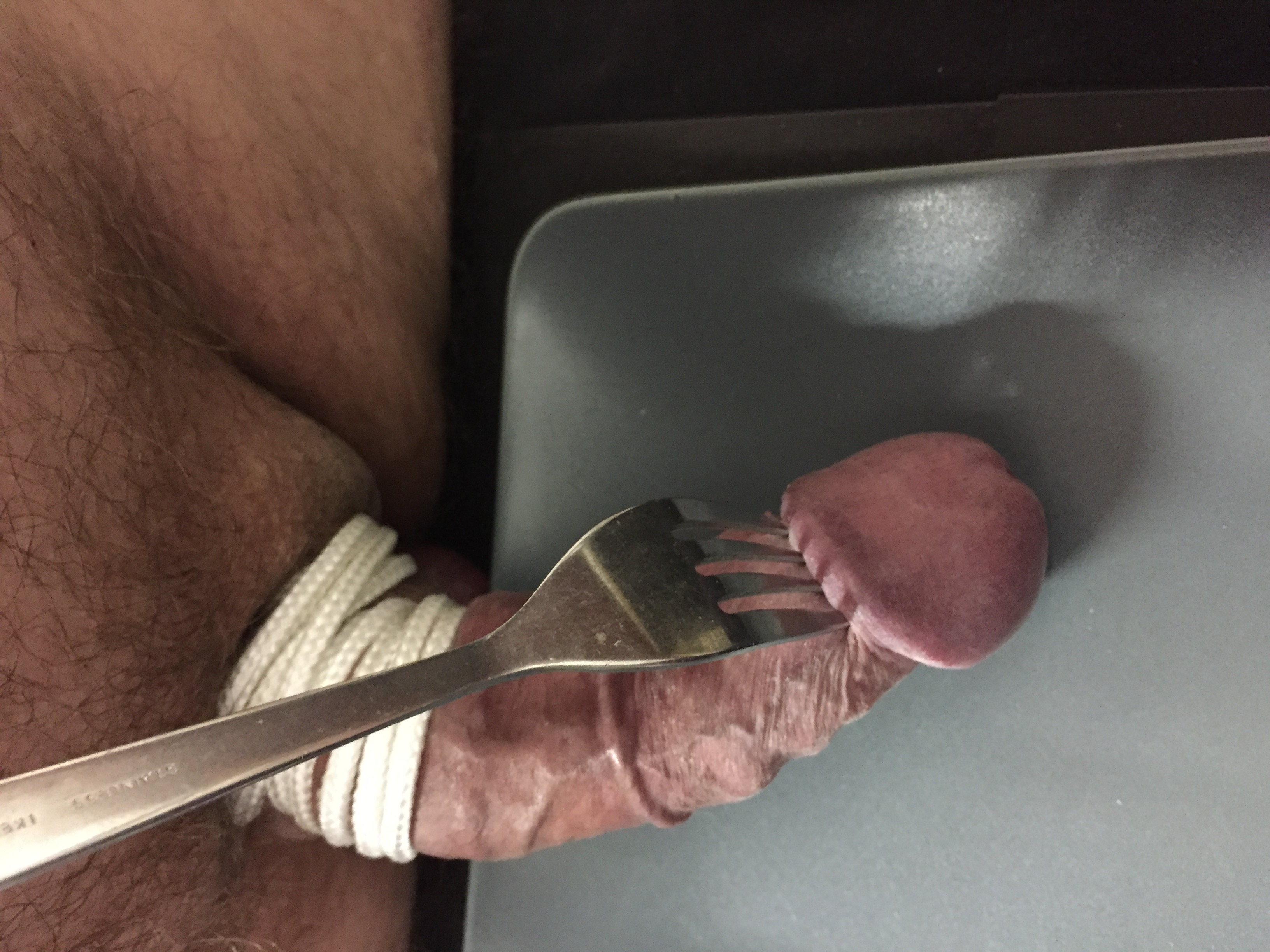 cock and ball tourture