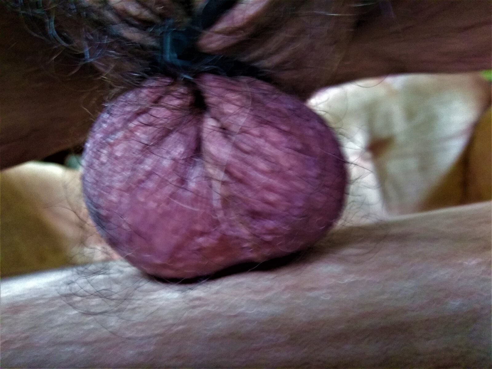 cock and ball tourture