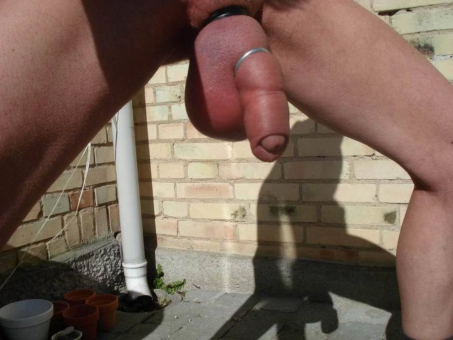 cock and ball tourture