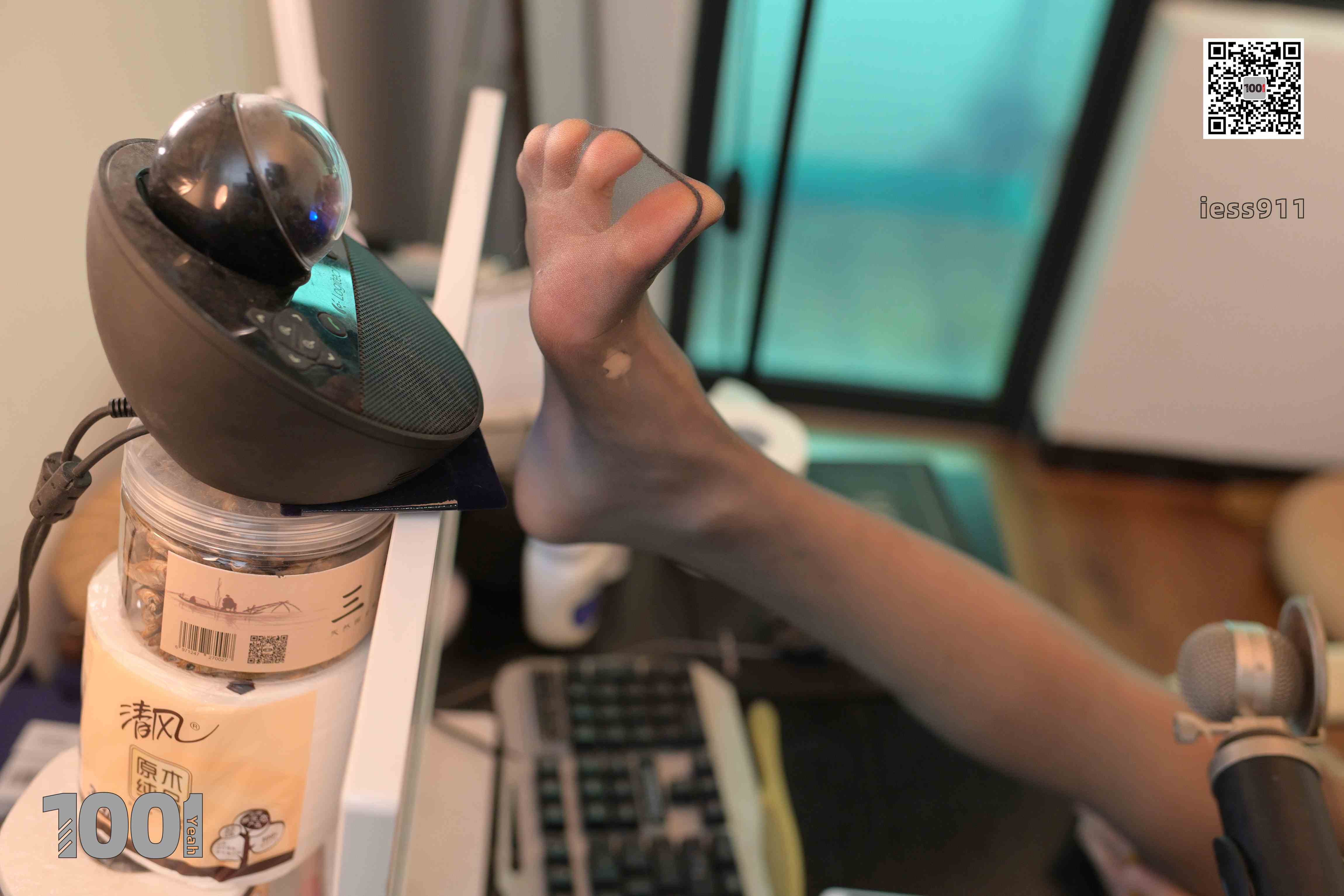 China Beauty Legs and feet 667-2