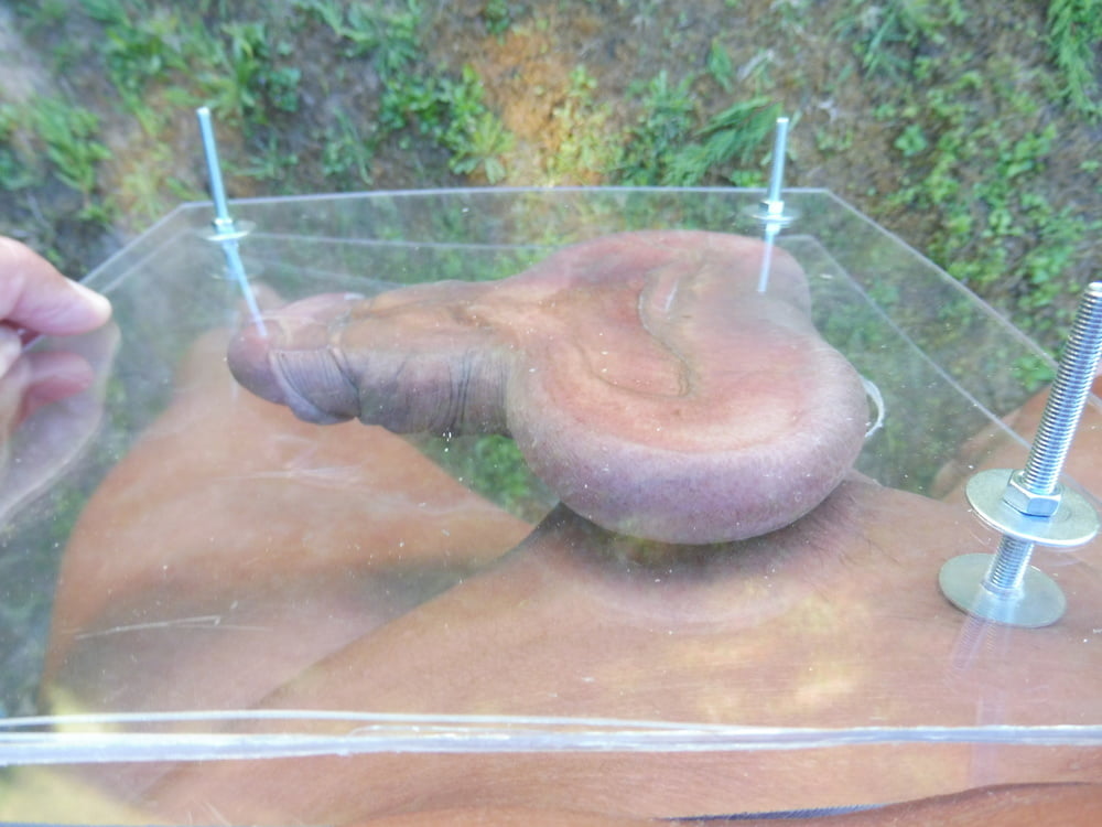 CBT cock and ball tourter