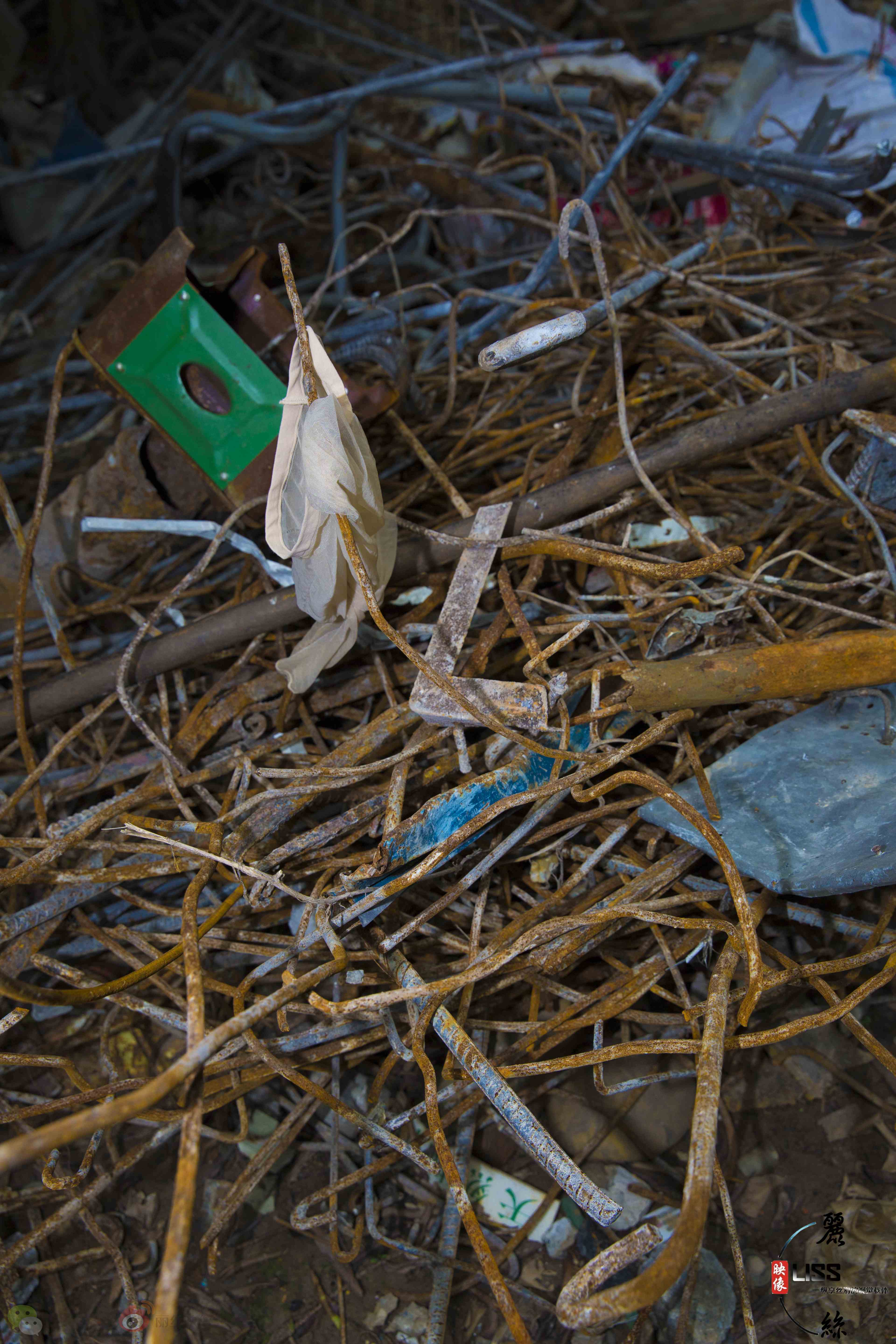 China Beauty Legs and feet 681