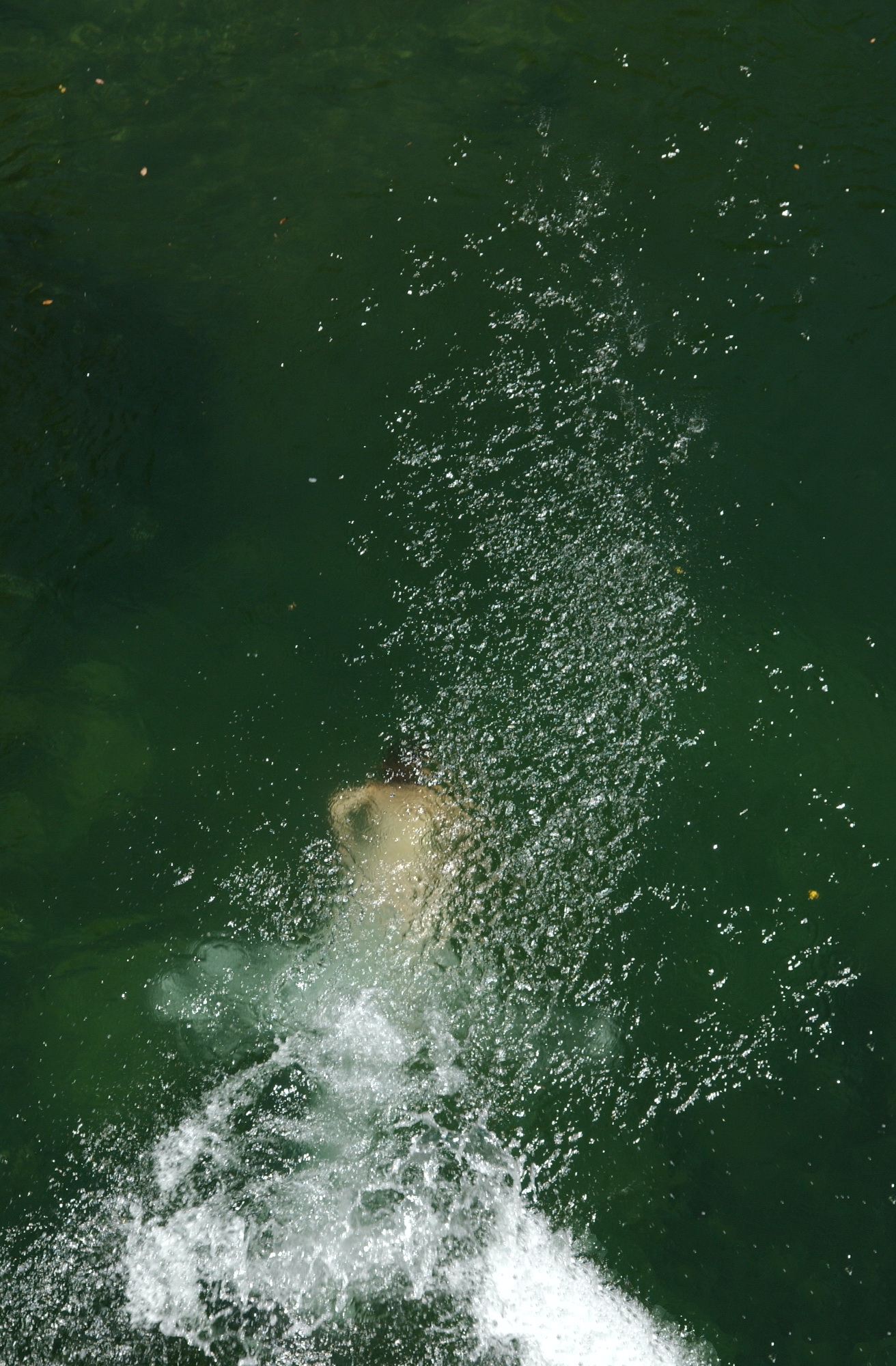 Cliff jumping near his house