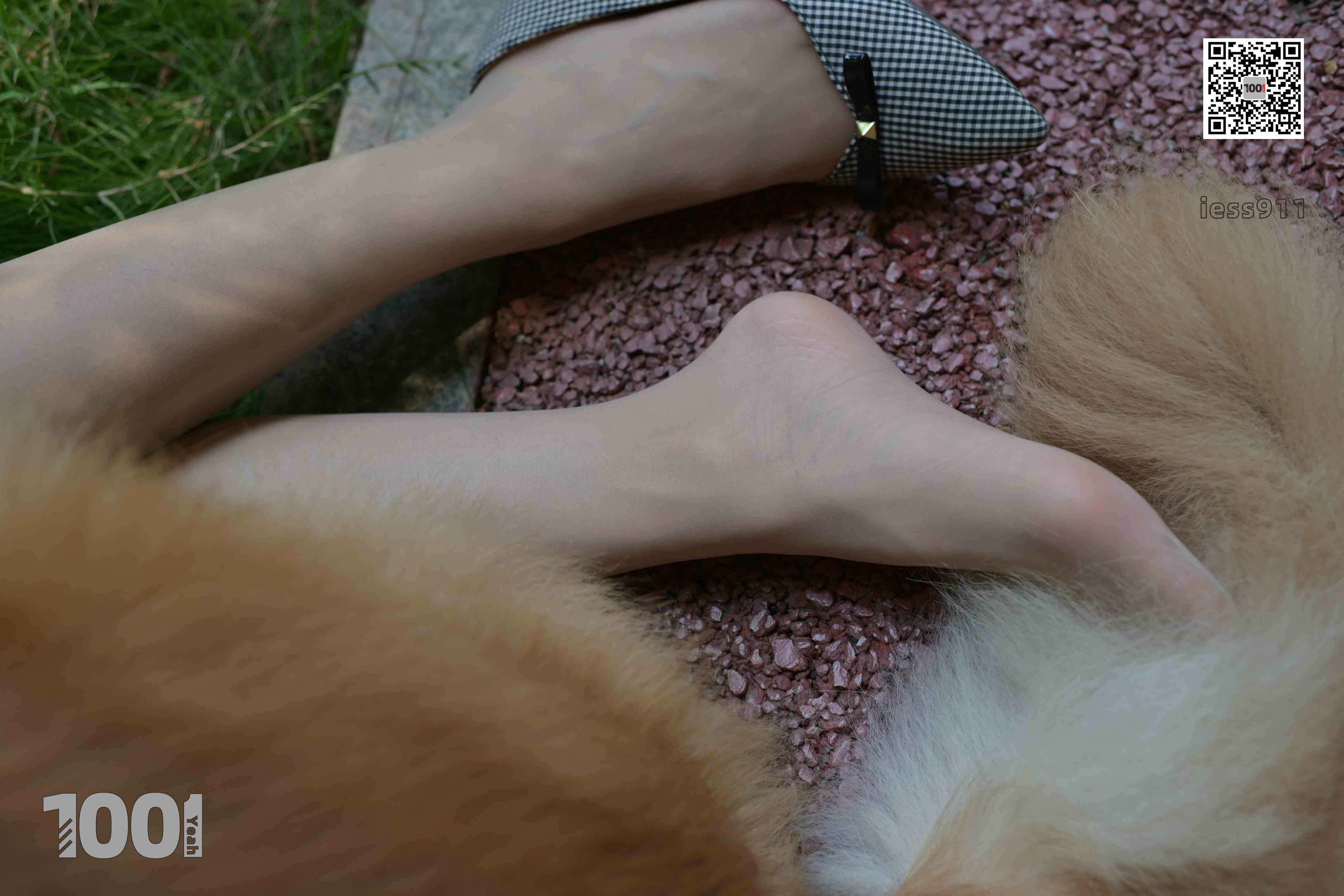 China Beauty Legs and feet 763-1