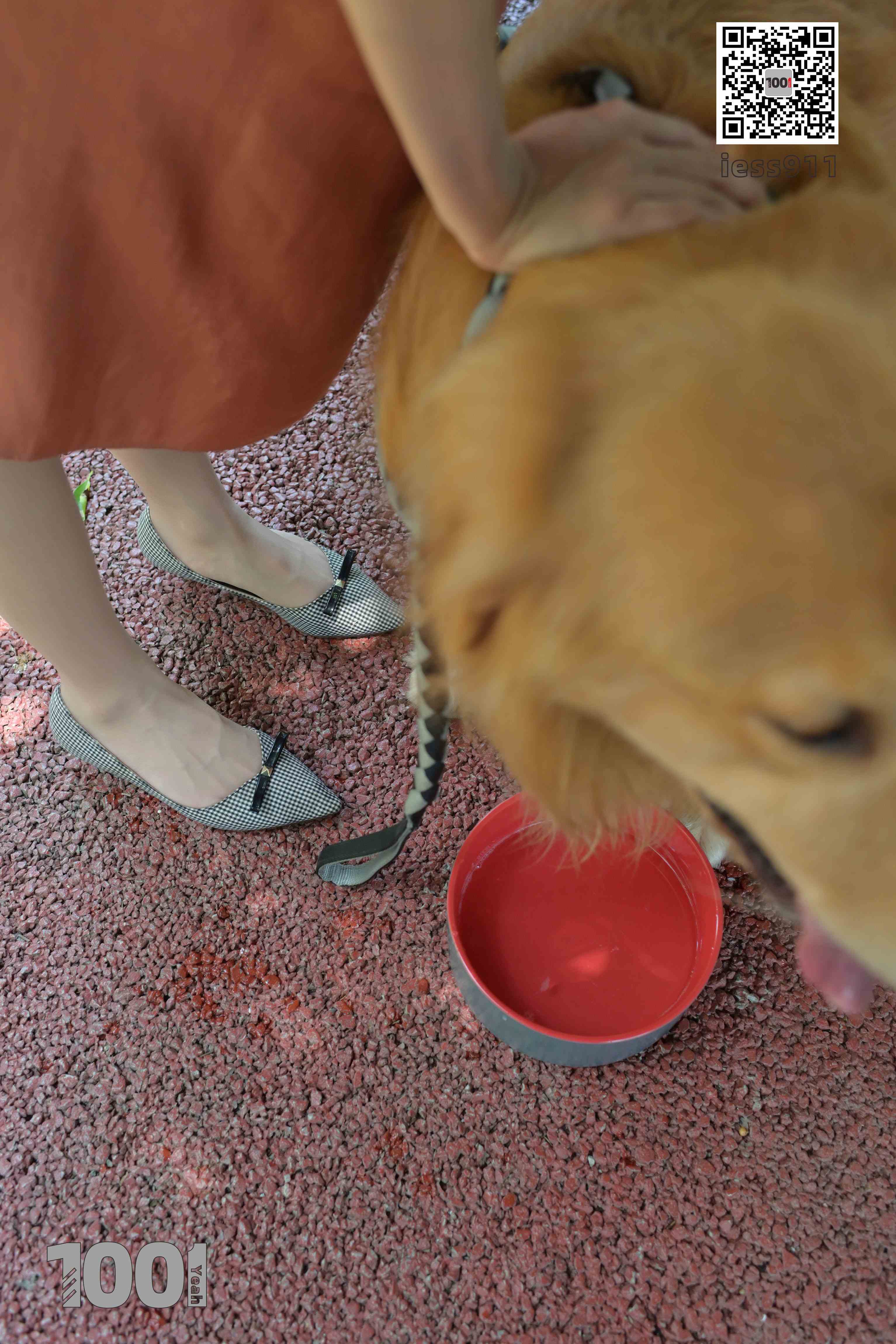 China Beauty Legs and feet 763-1