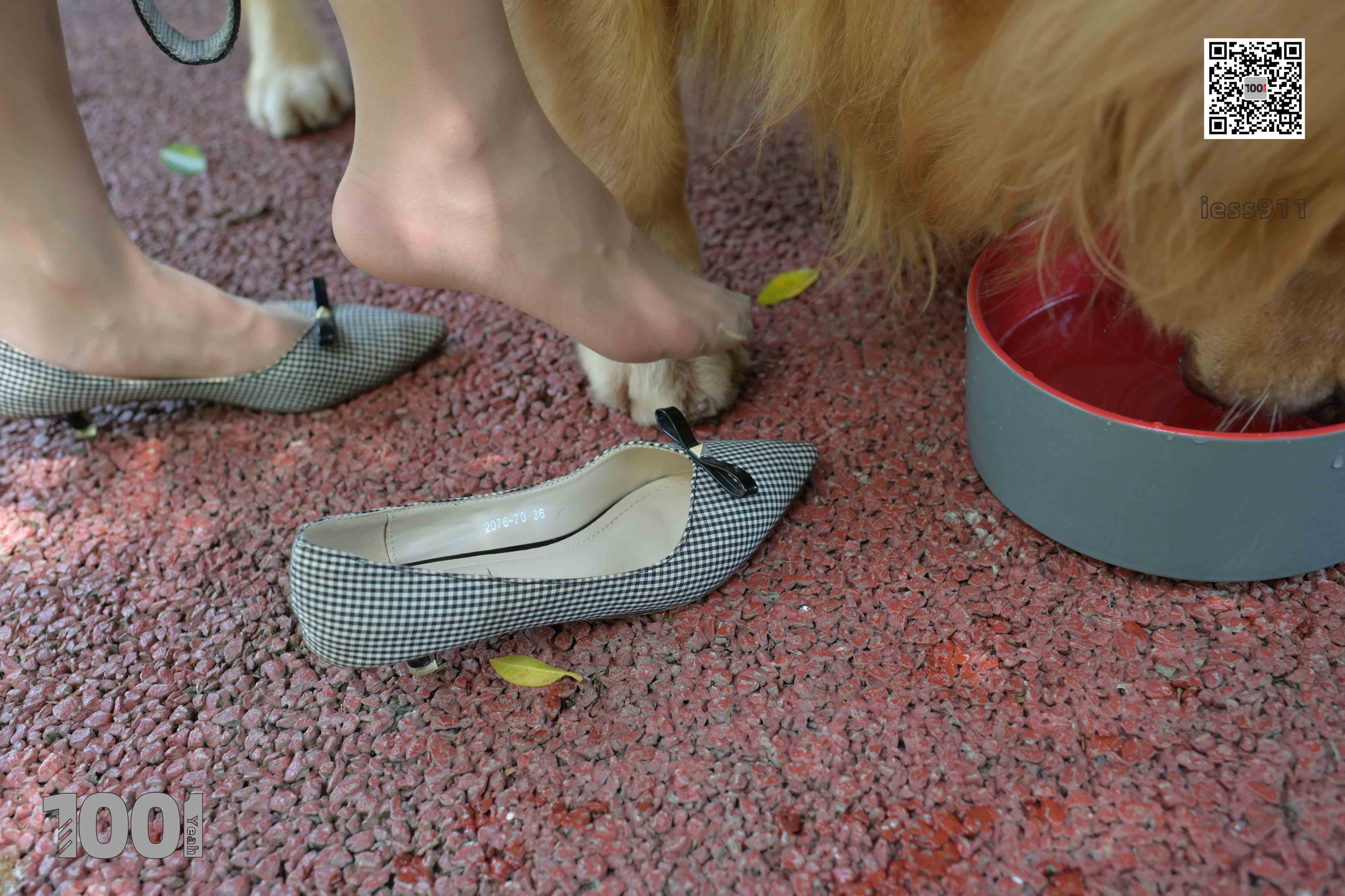 China Beauty Legs and feet 763-1