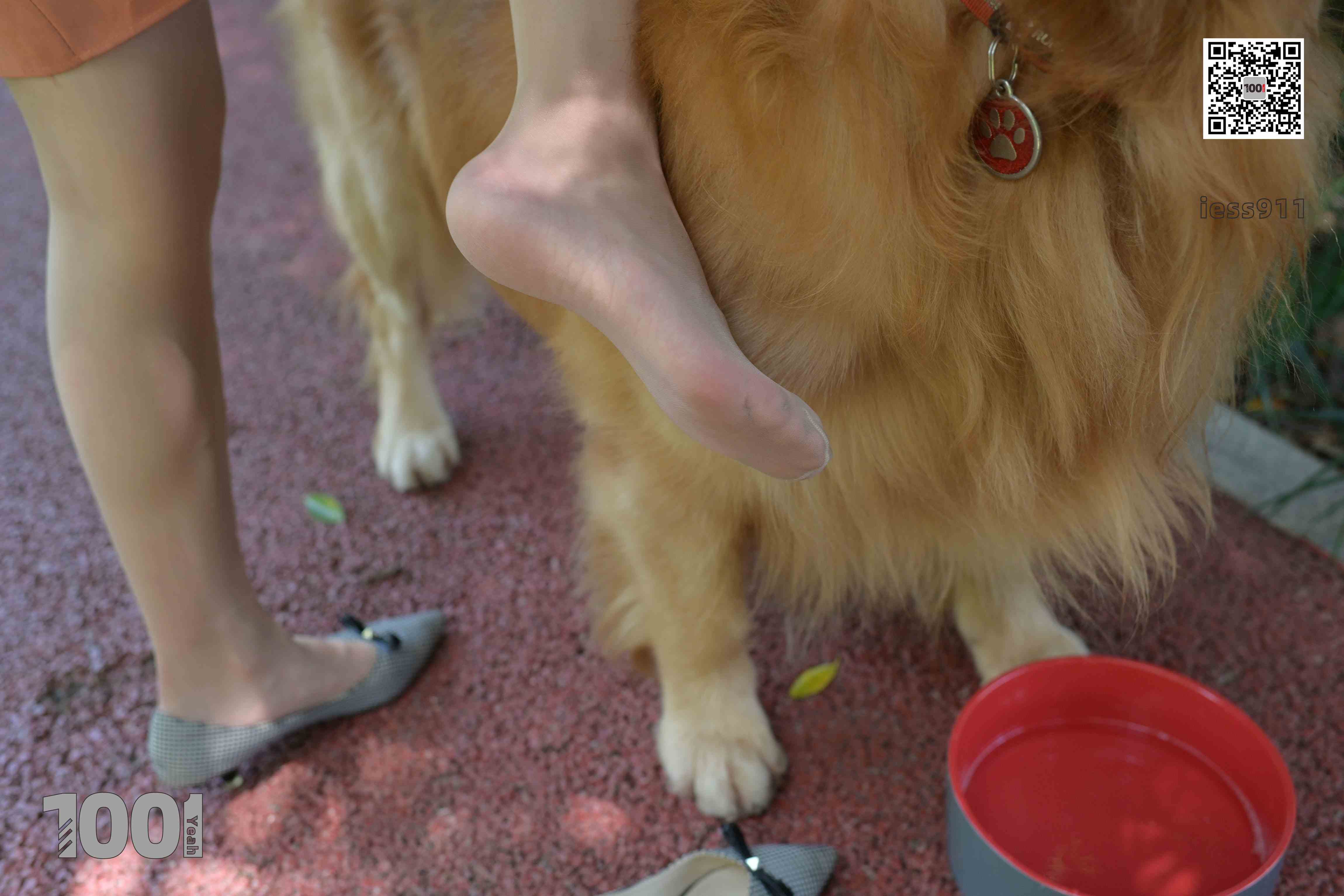 China Beauty Legs and feet 763-1