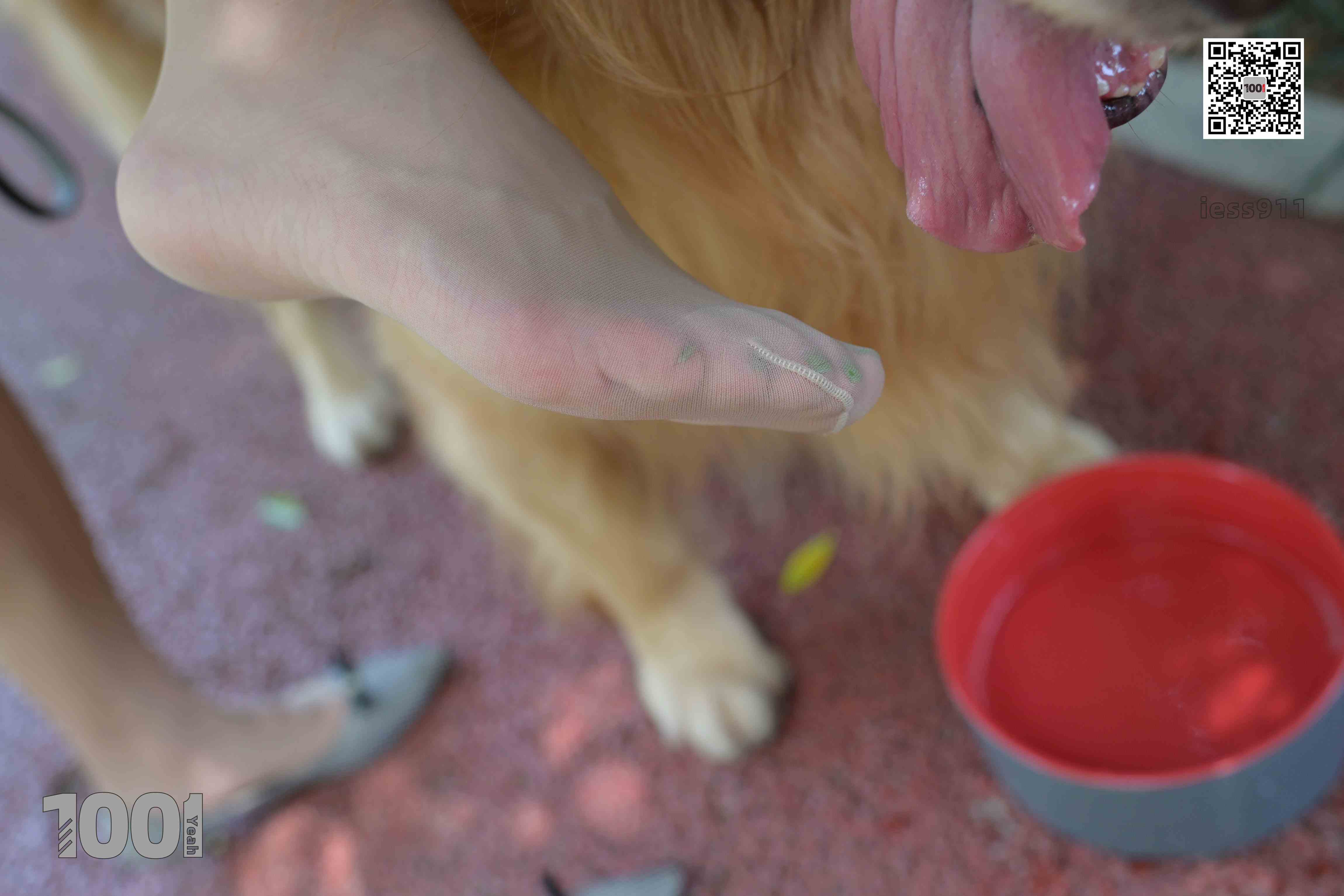 China Beauty Legs and feet 763-1