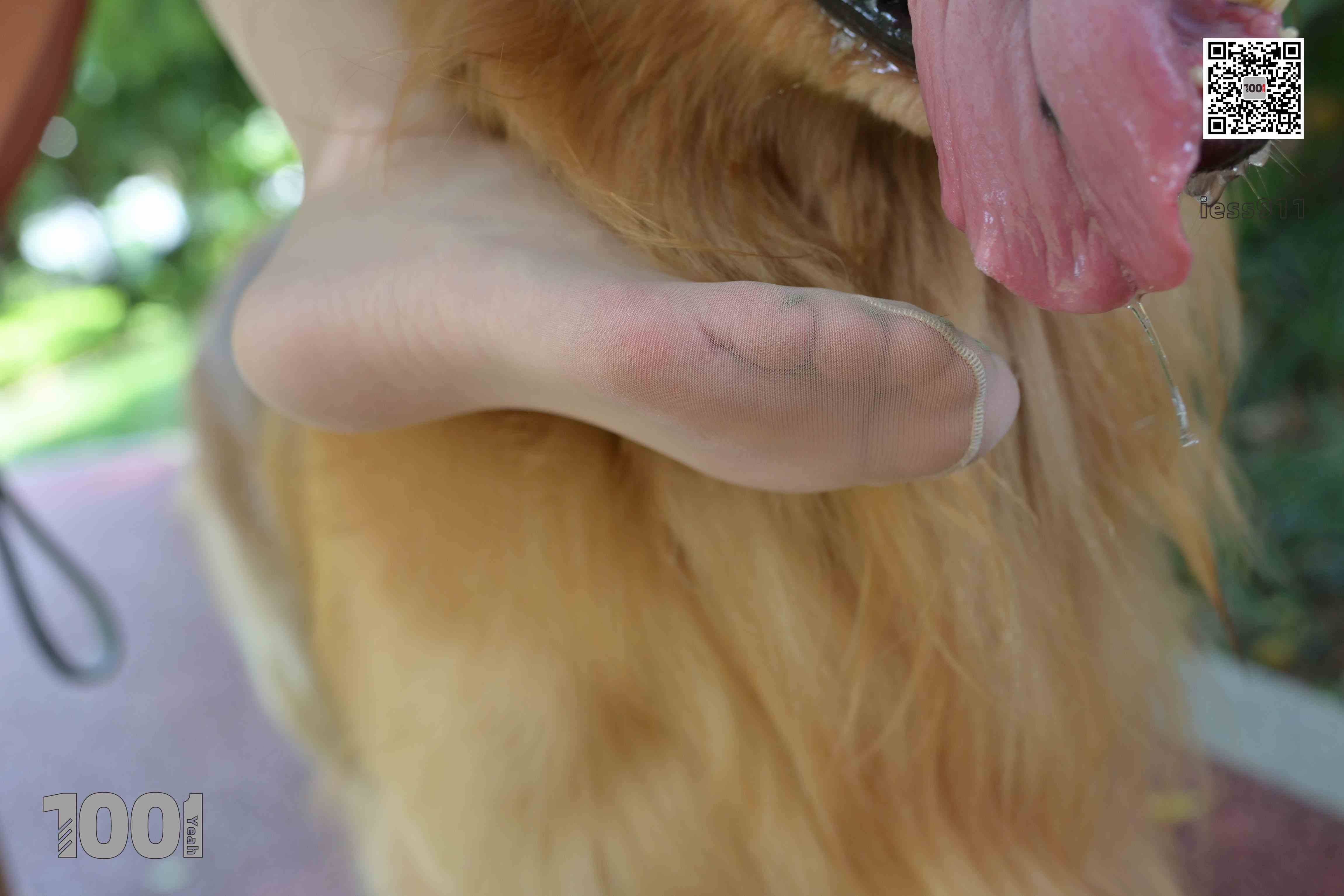 China Beauty Legs and feet 763-1