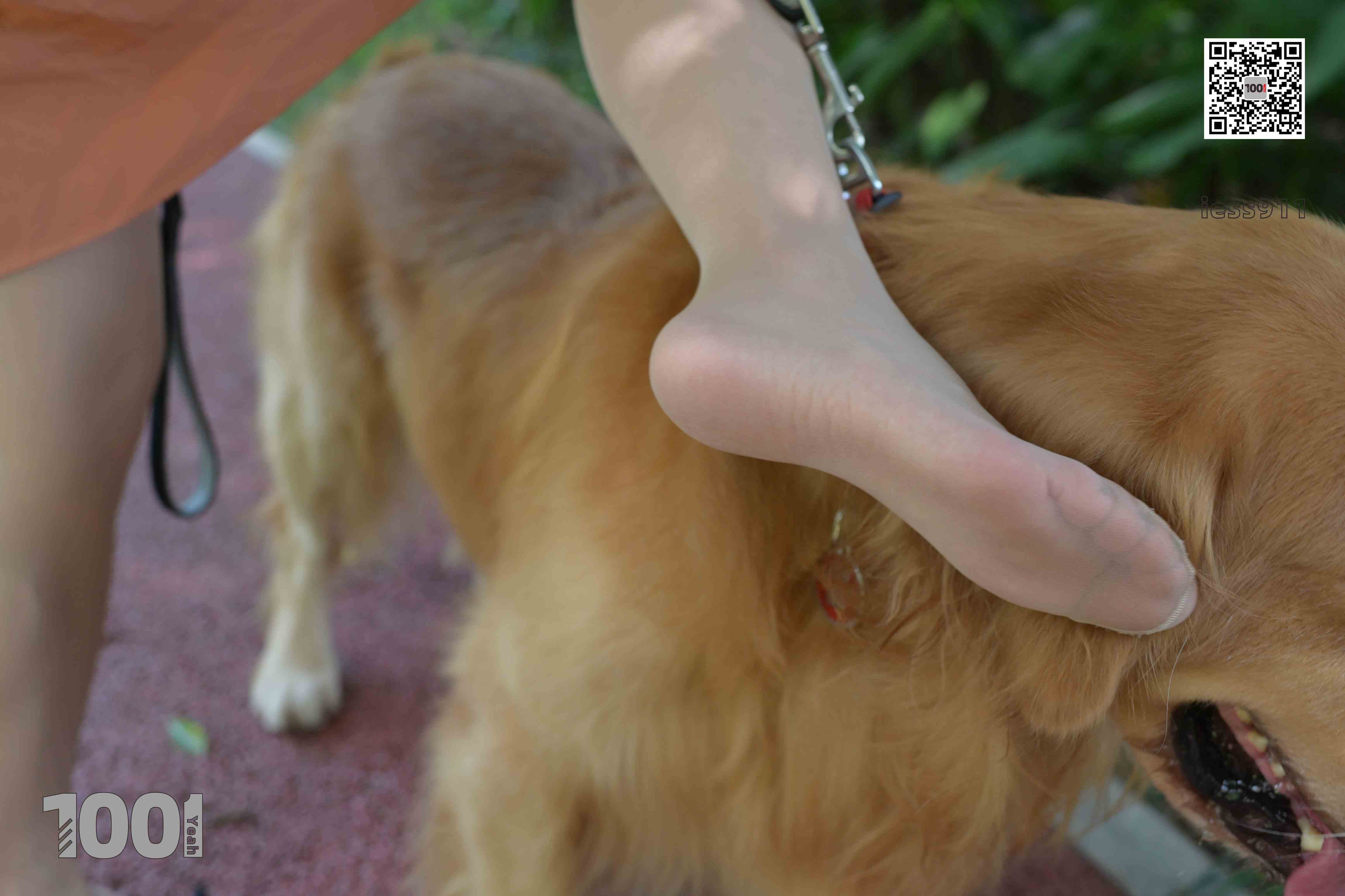 China Beauty Legs and feet 763-1