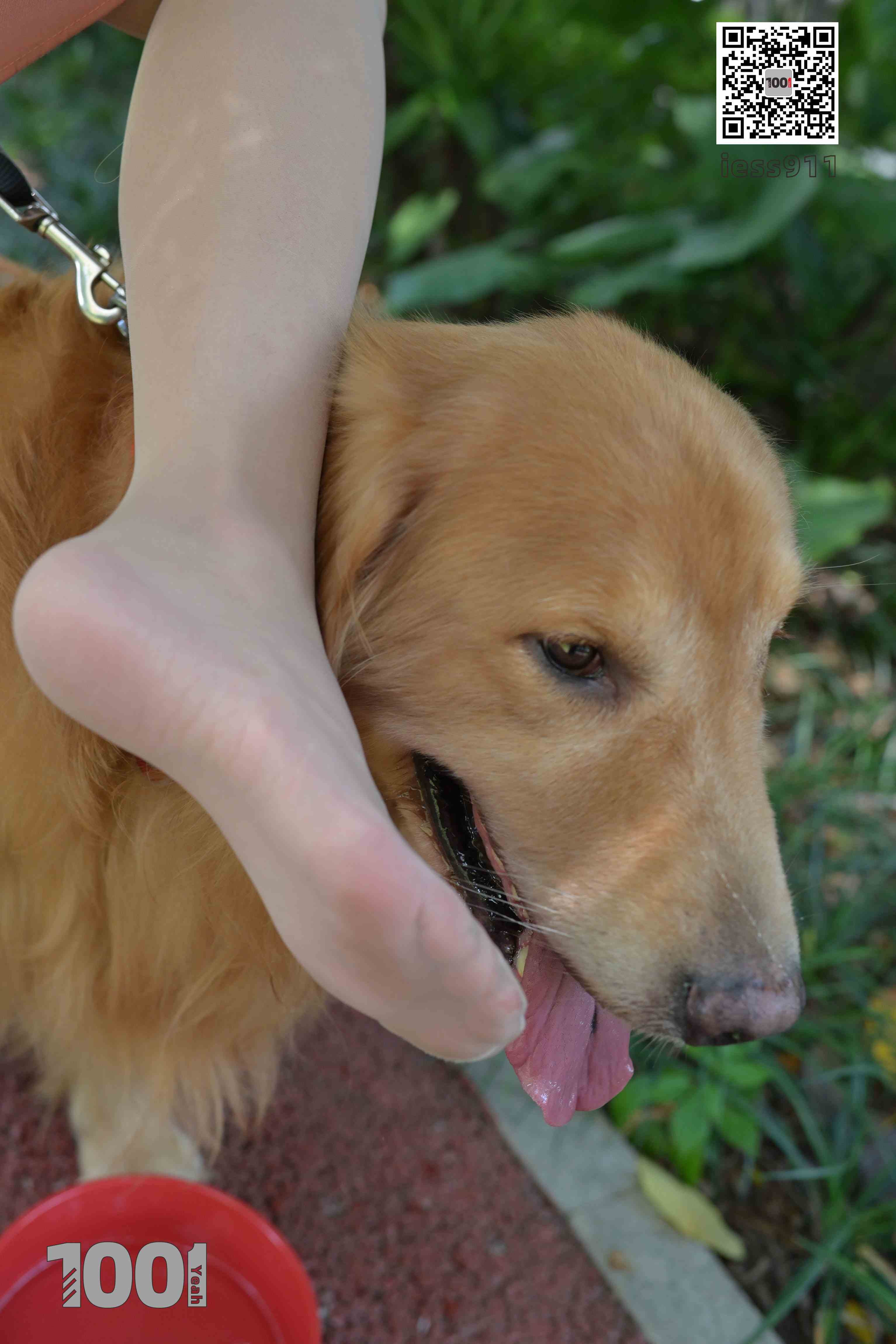 China Beauty Legs and feet 763-1