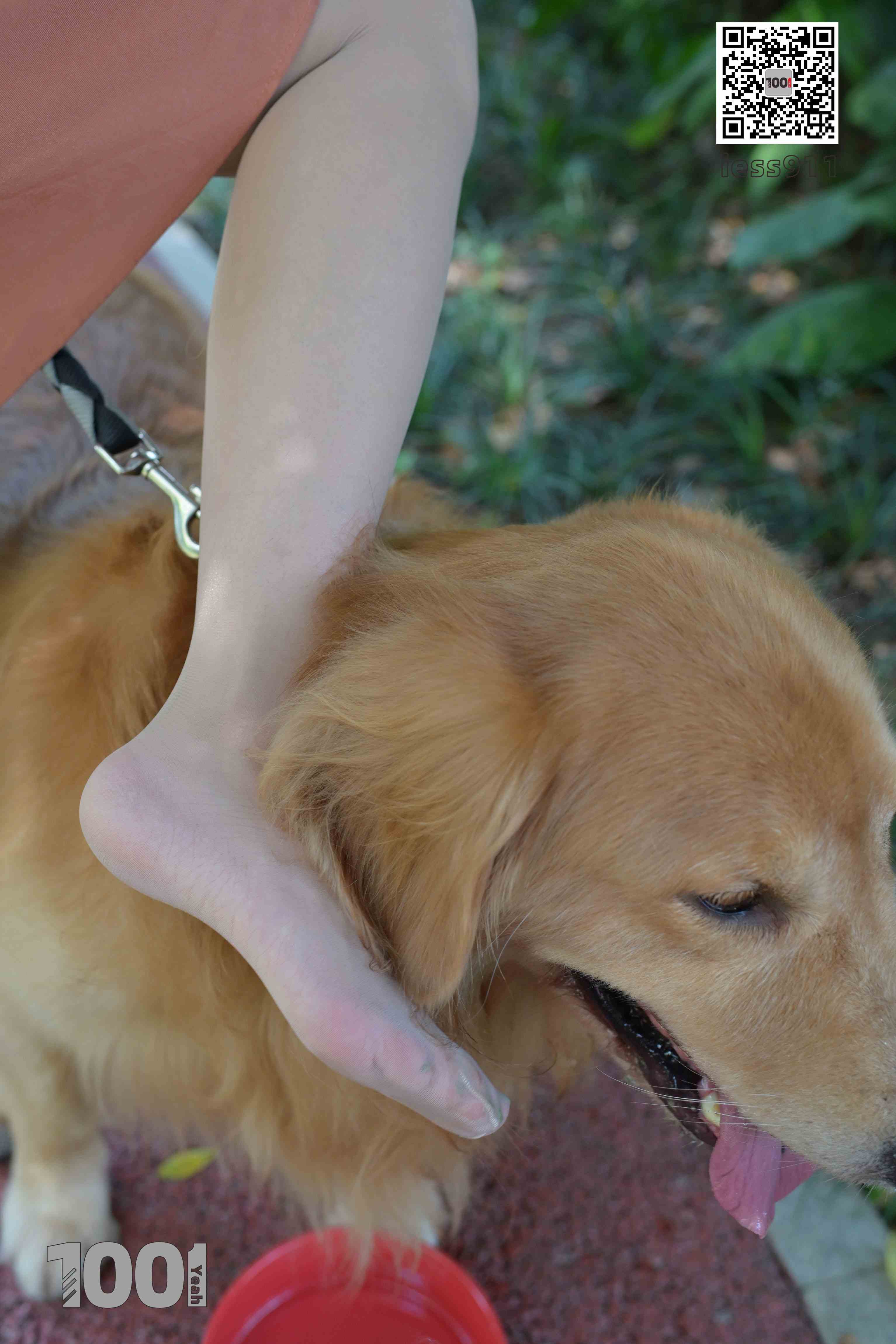 China Beauty Legs and feet 763-1