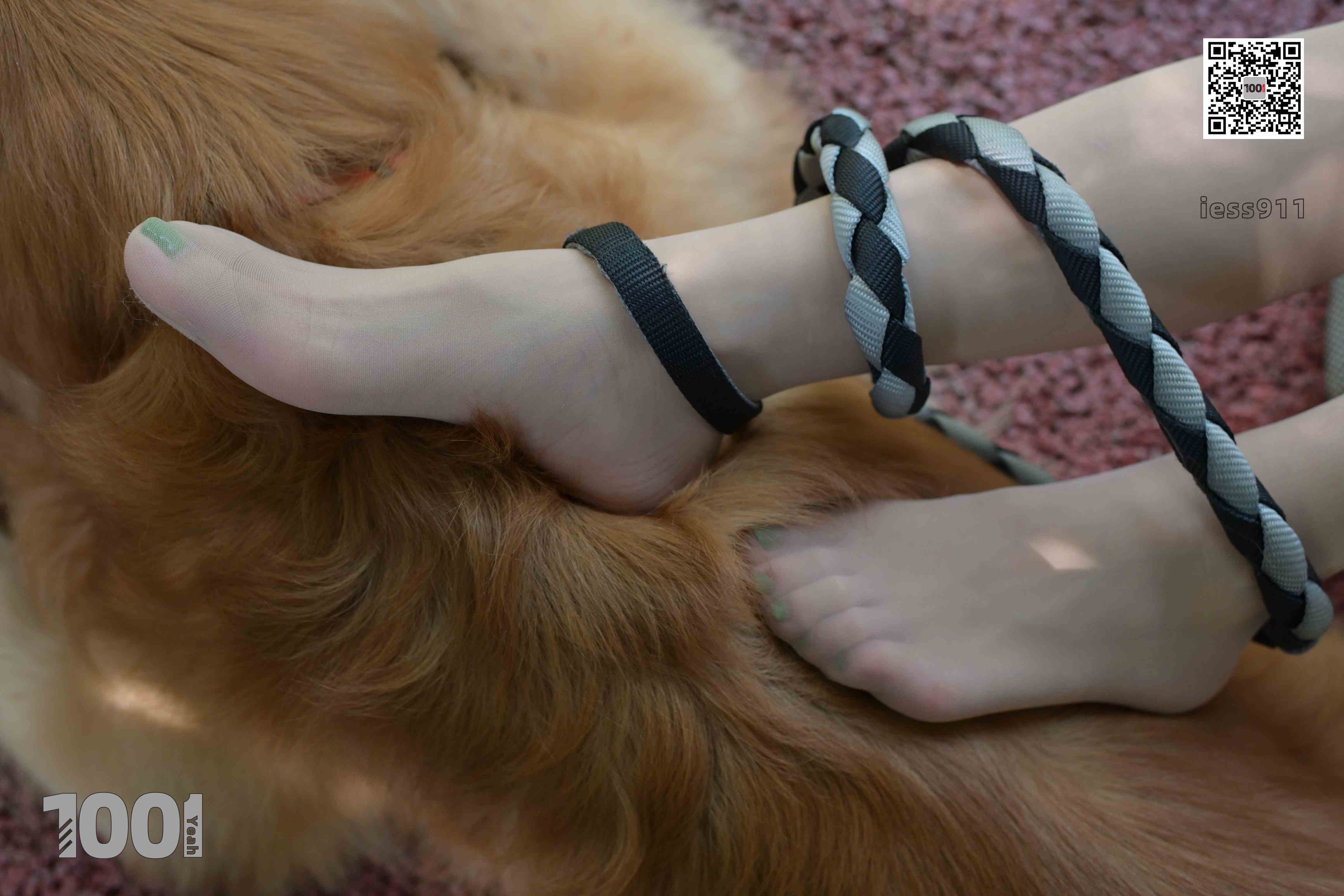 China Beauty Legs and feet 763-2