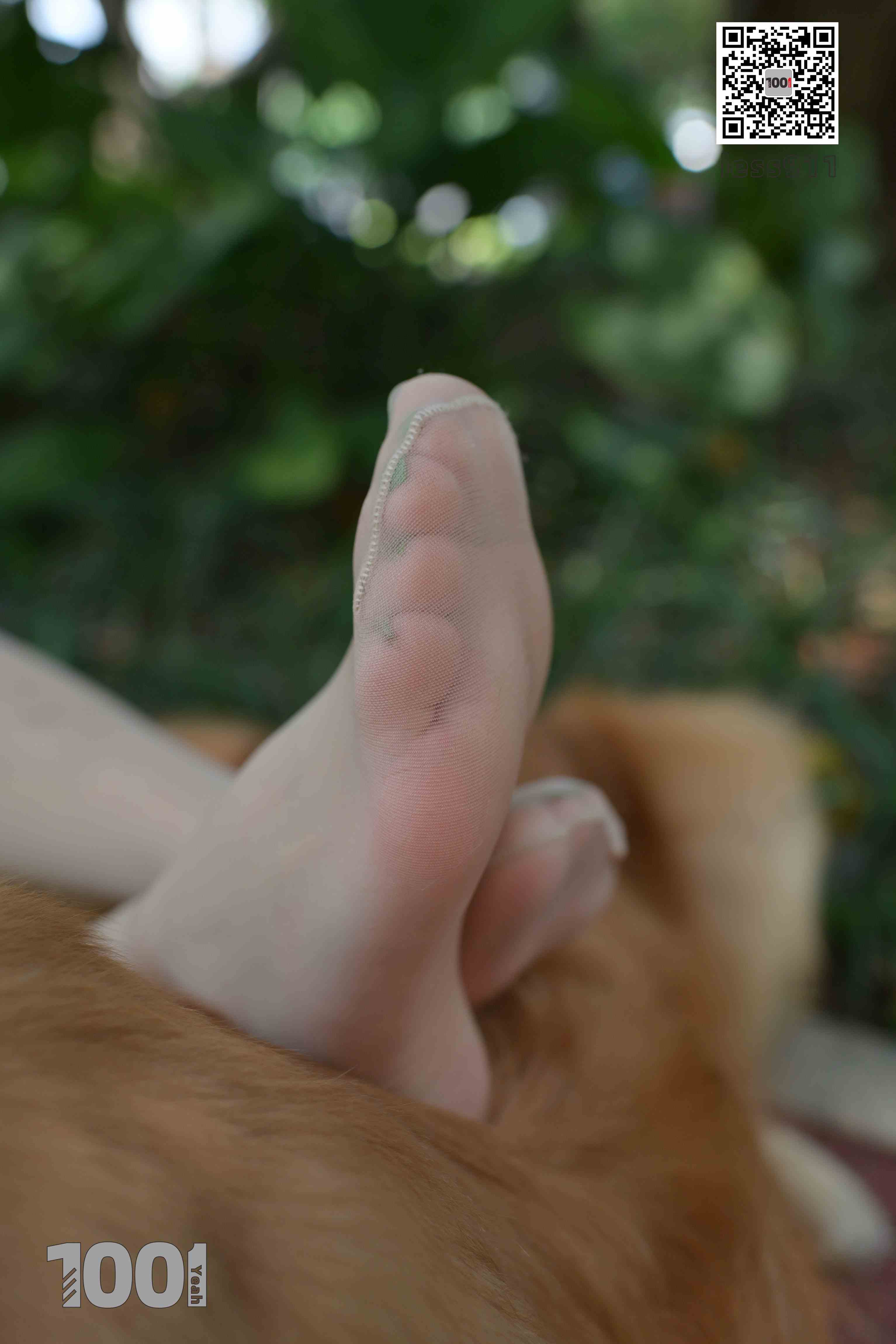 China Beauty Legs and feet 763-2