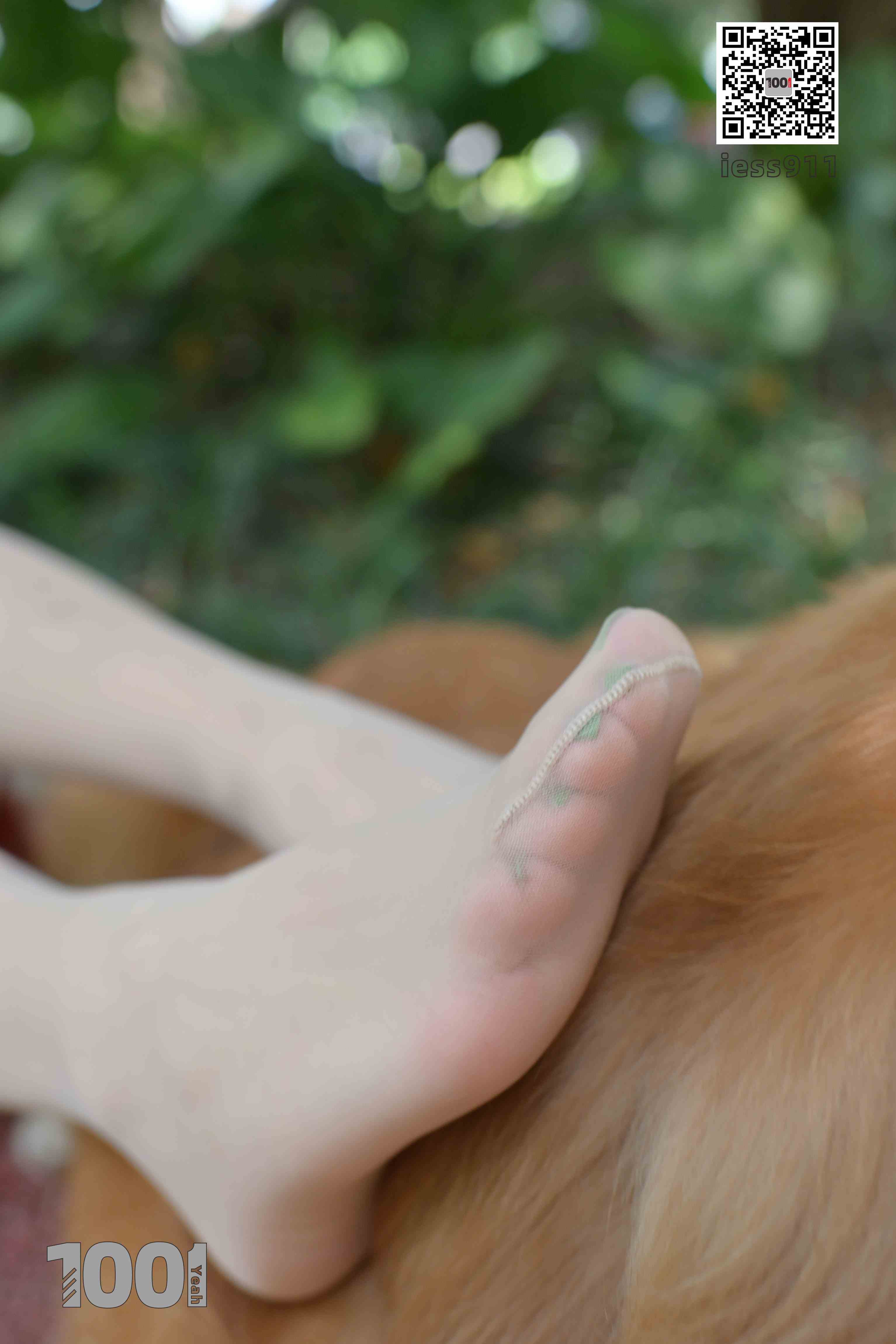 China Beauty Legs and feet 763-2