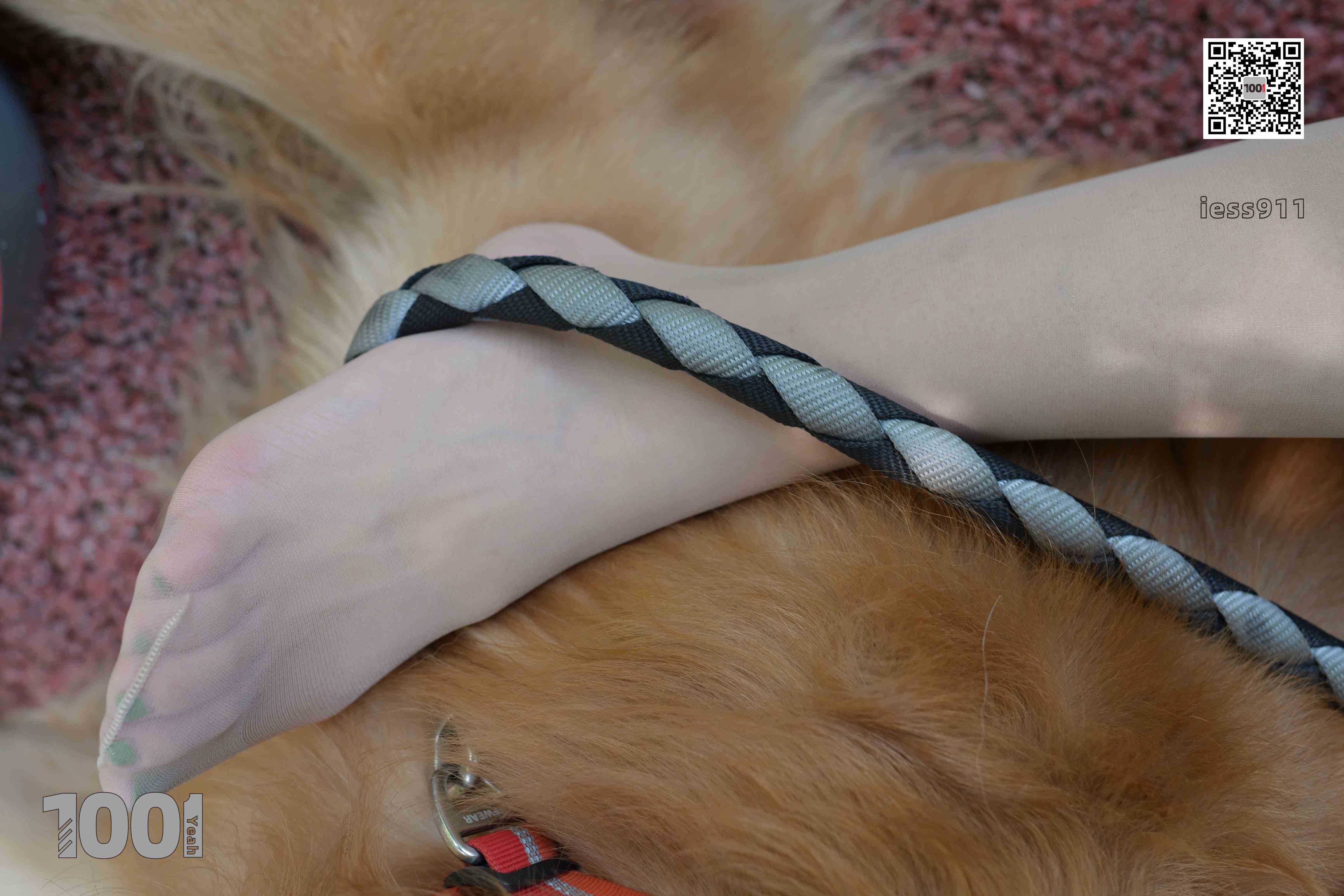 China Beauty Legs and feet 763-2