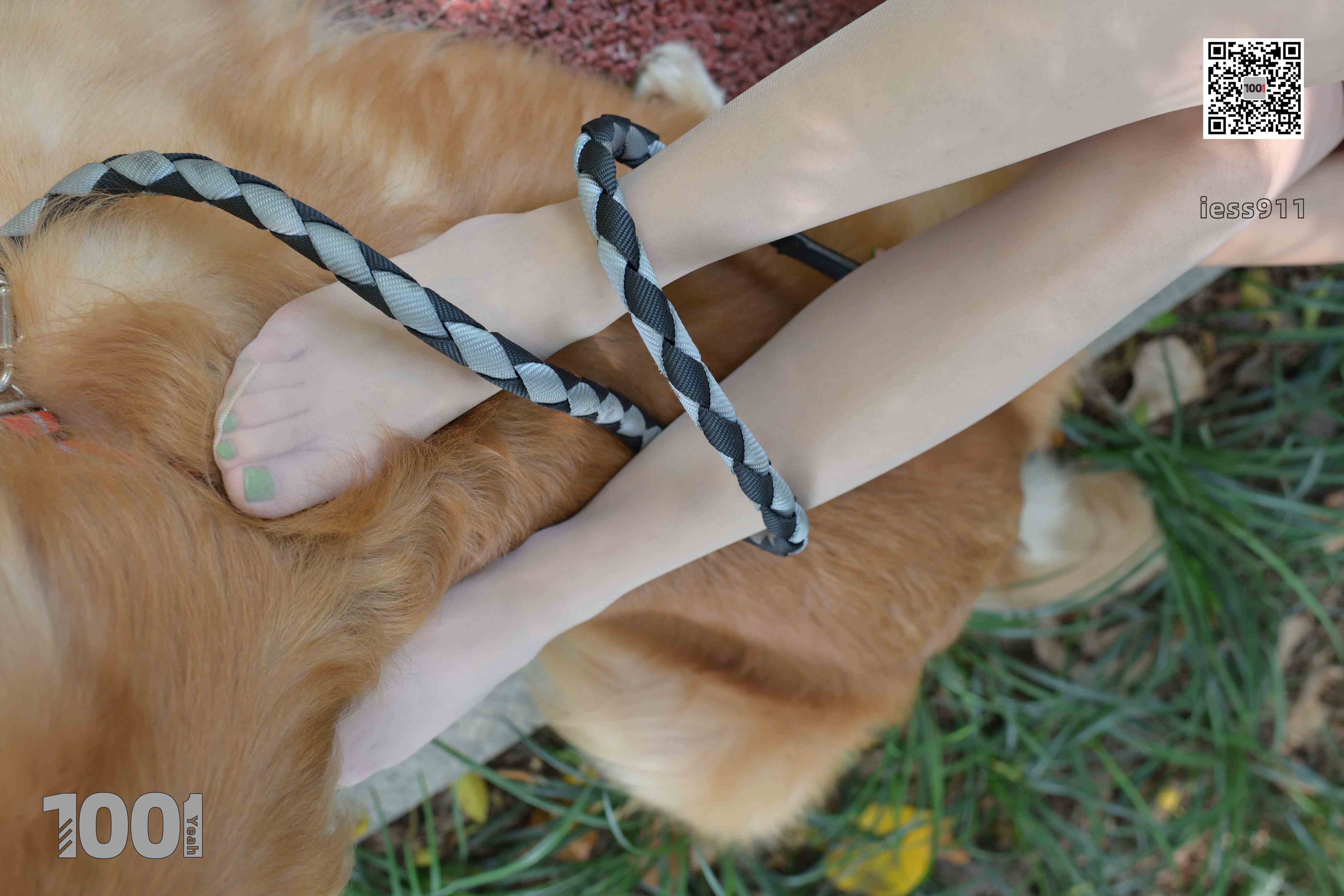 China Beauty Legs and feet 763-2