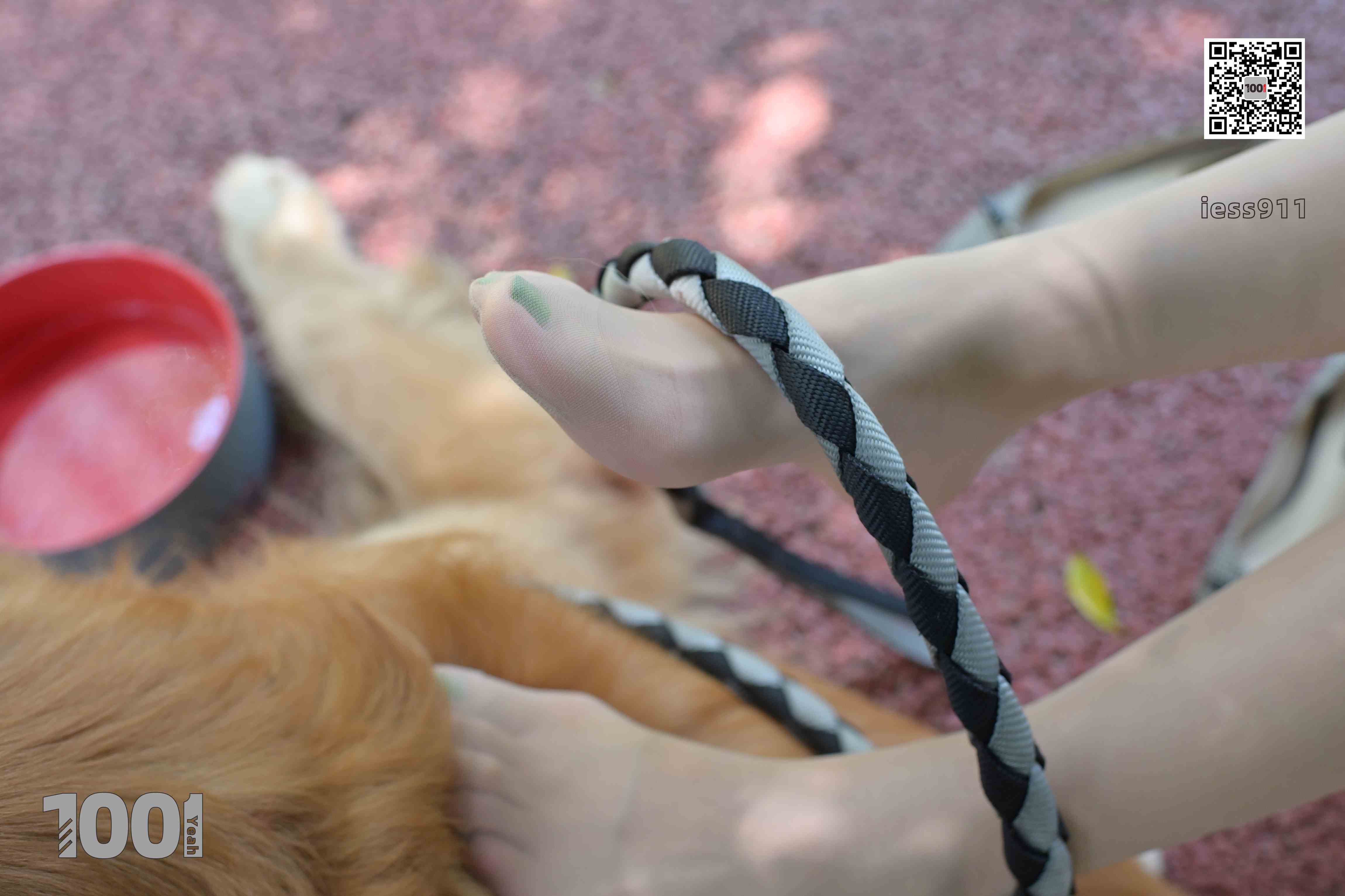 China Beauty Legs and feet 763-2