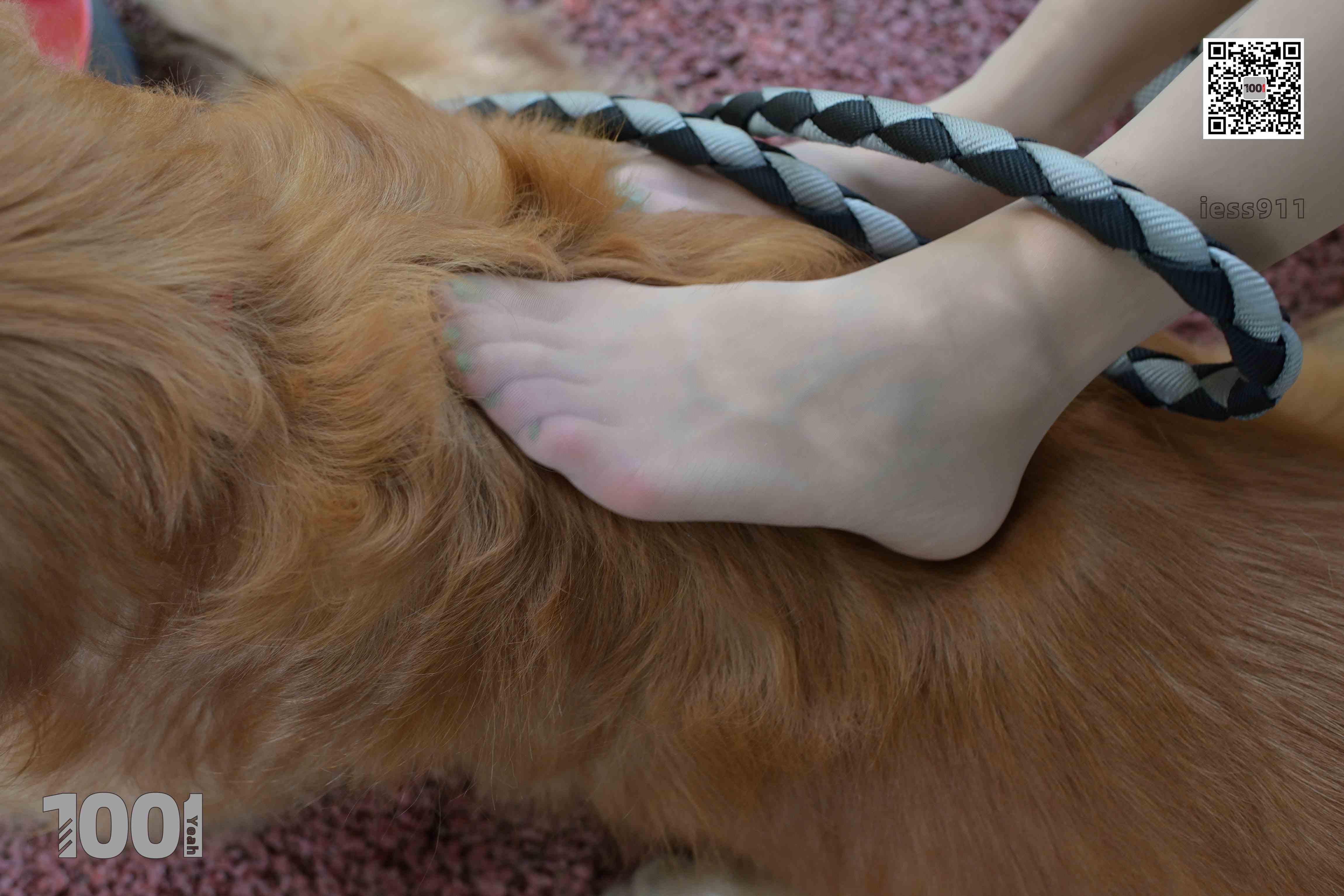 China Beauty Legs and feet 763-2