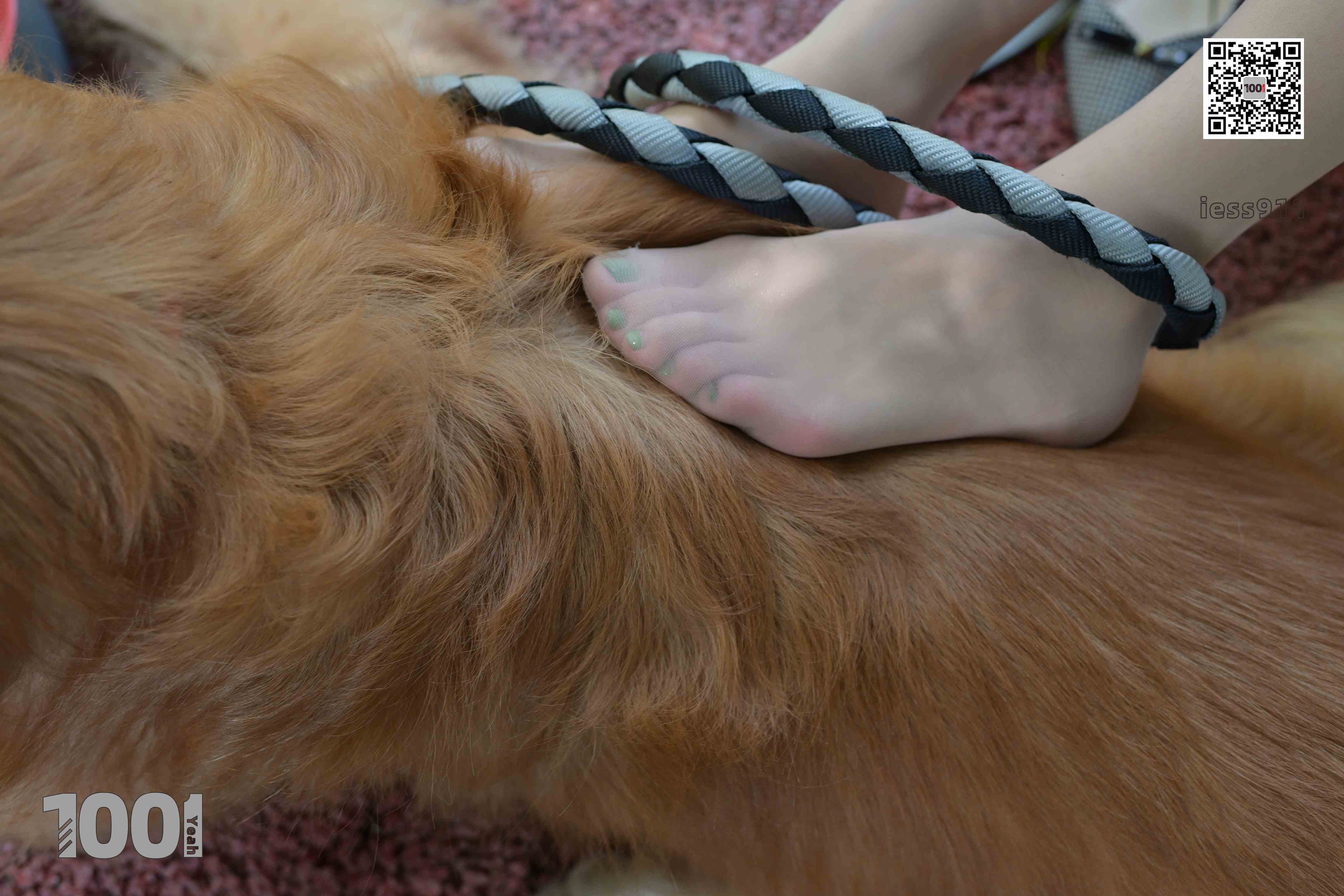 China Beauty Legs and feet 763-2