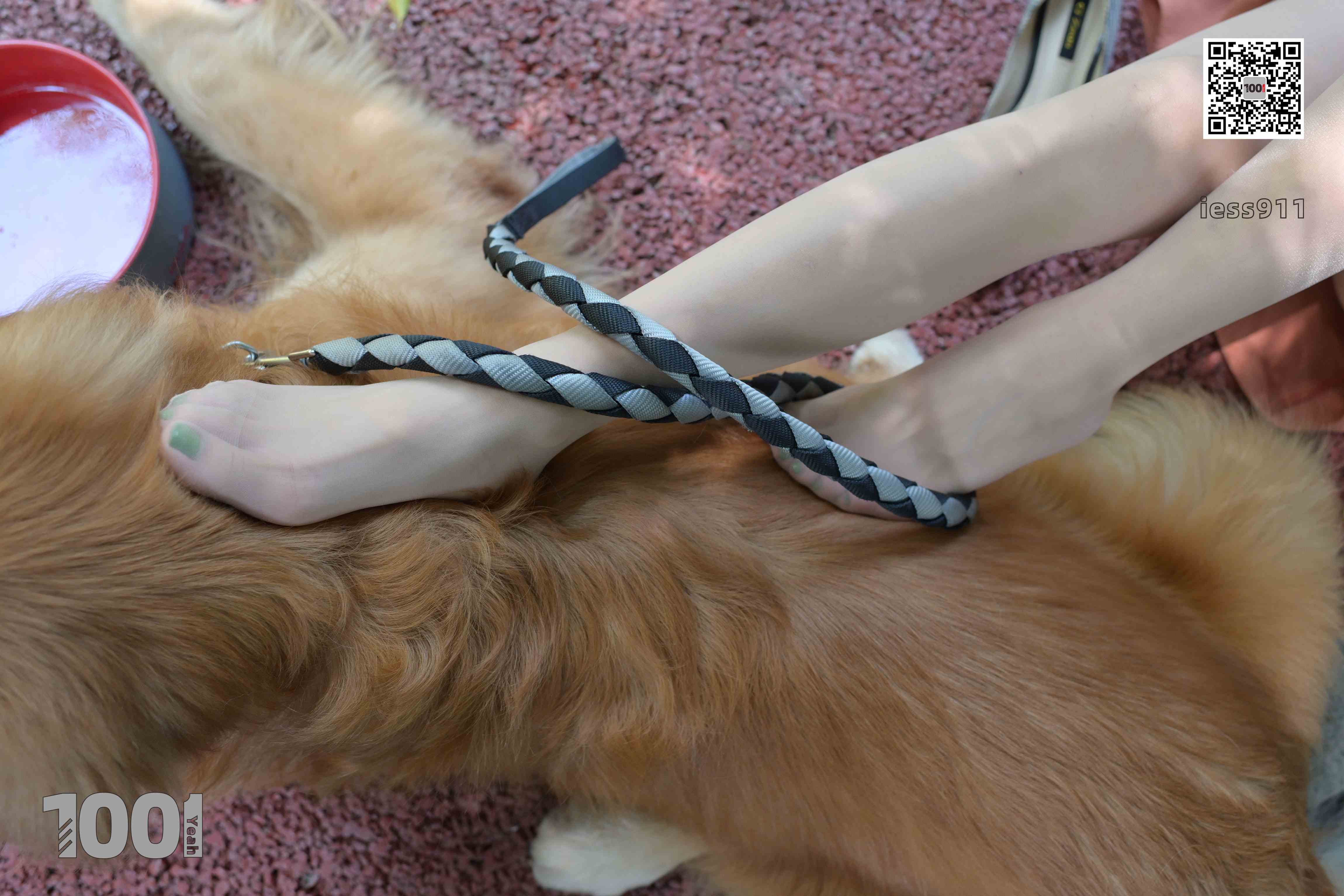 China Beauty Legs and feet 763-2