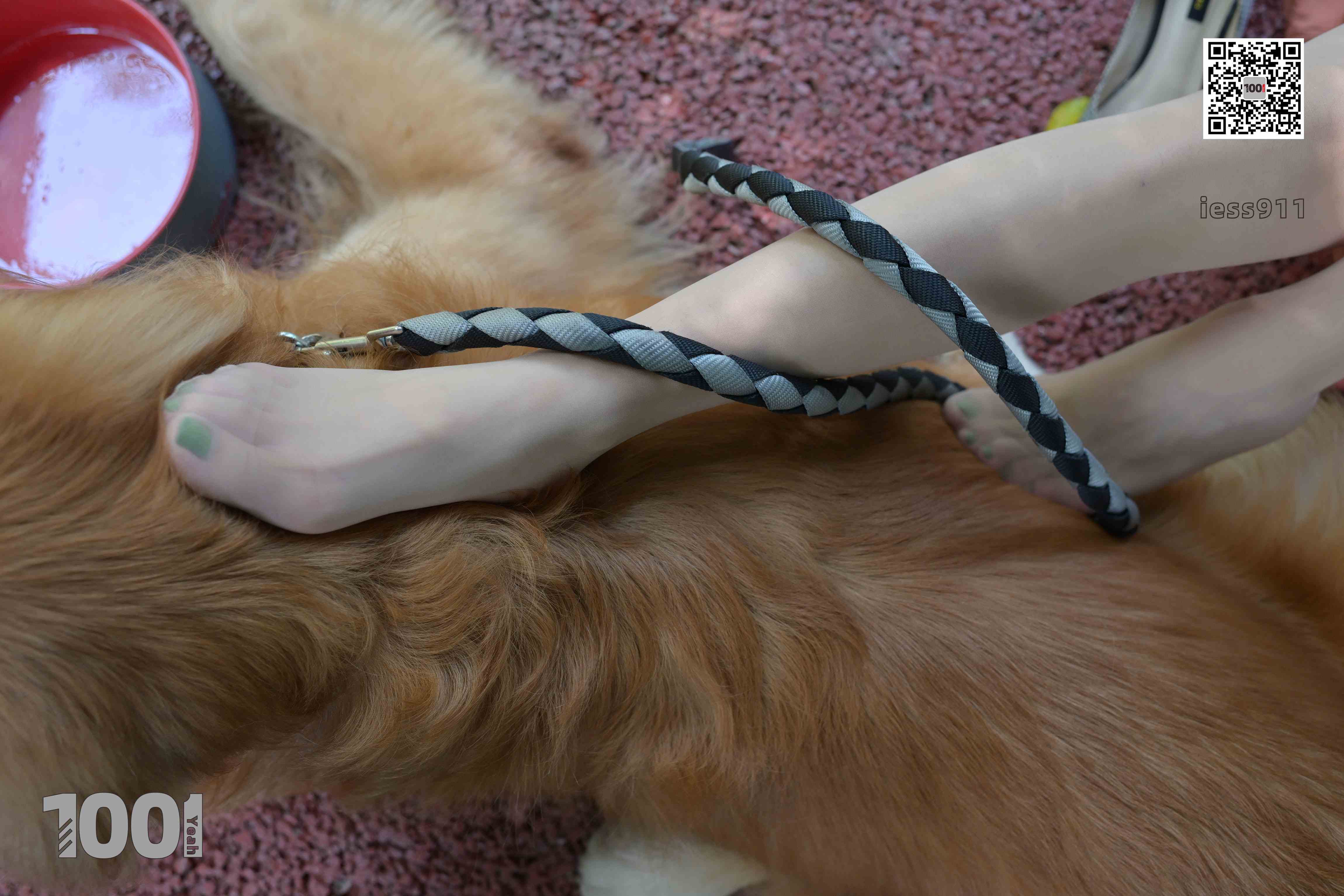 China Beauty Legs and feet 763-2