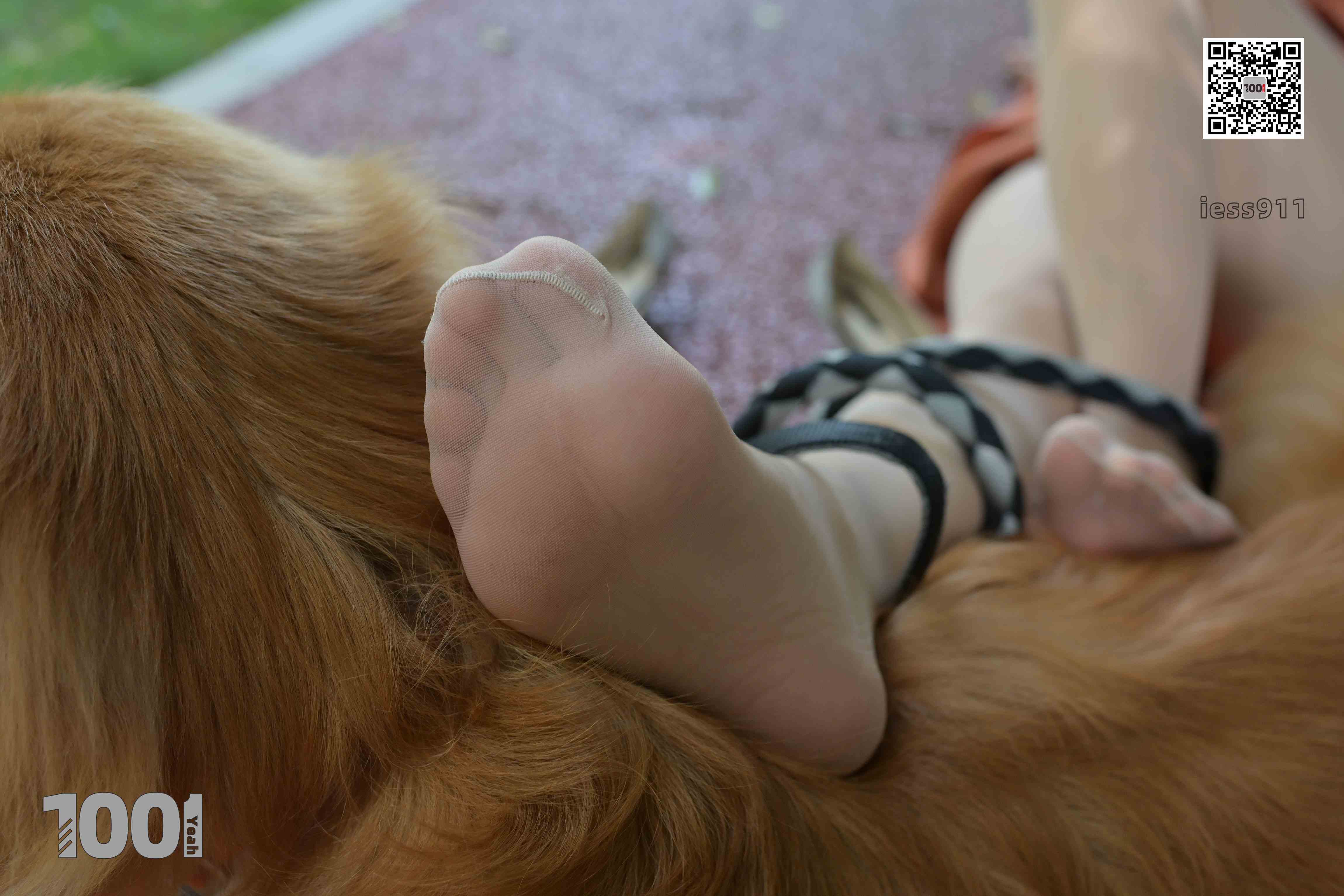 China Beauty Legs and feet 763-2