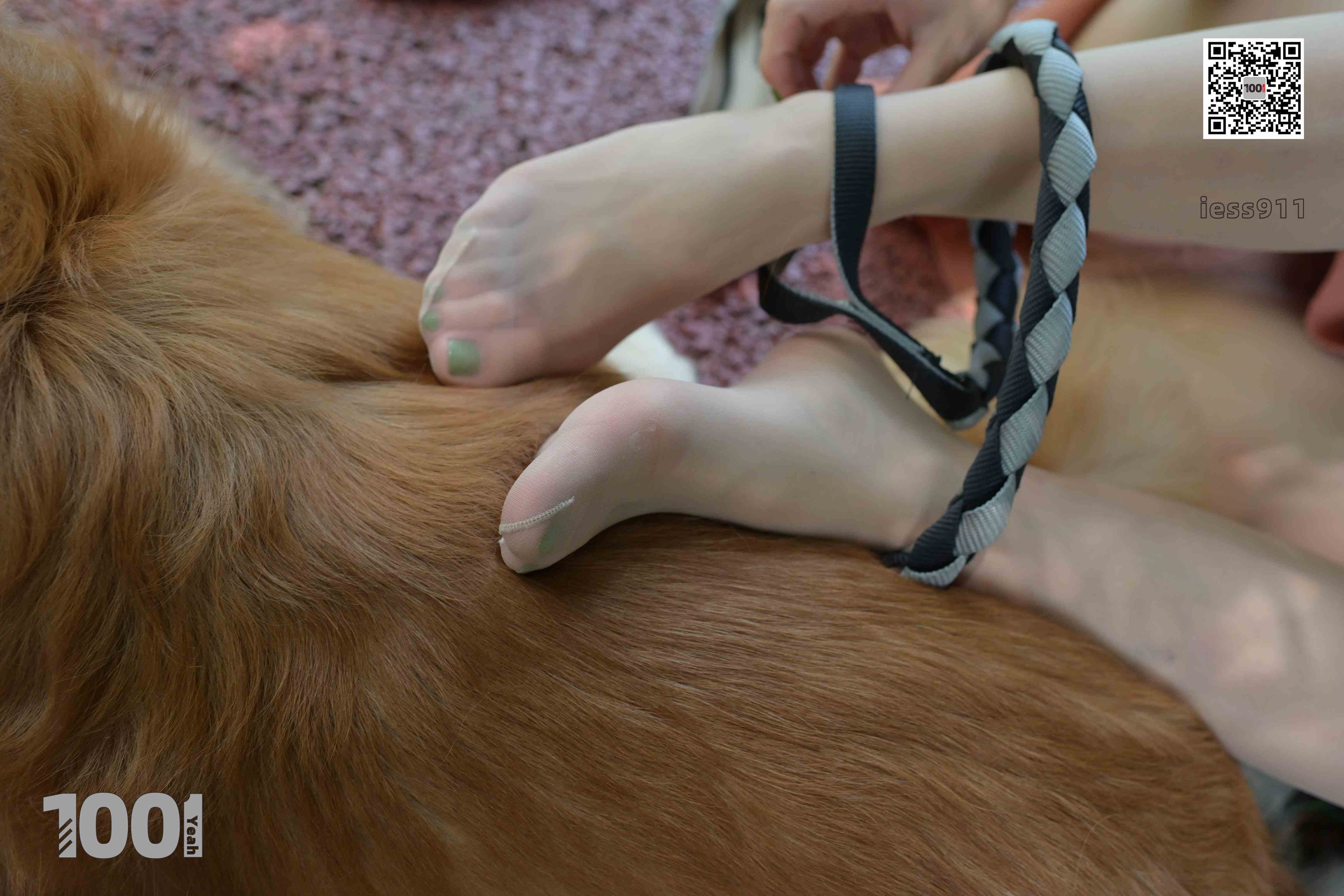 China Beauty Legs and feet 763-2