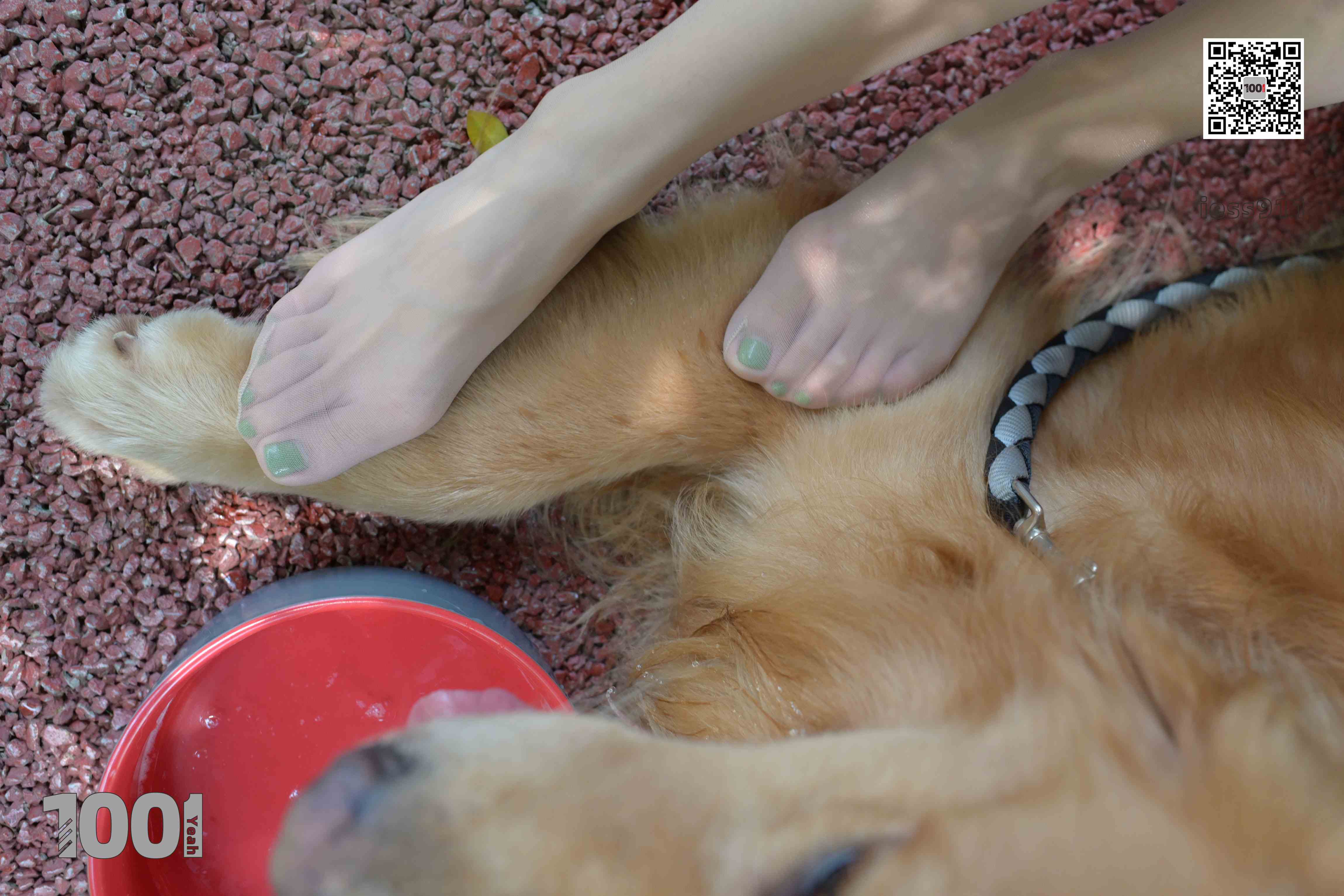 China Beauty Legs and feet 763-2