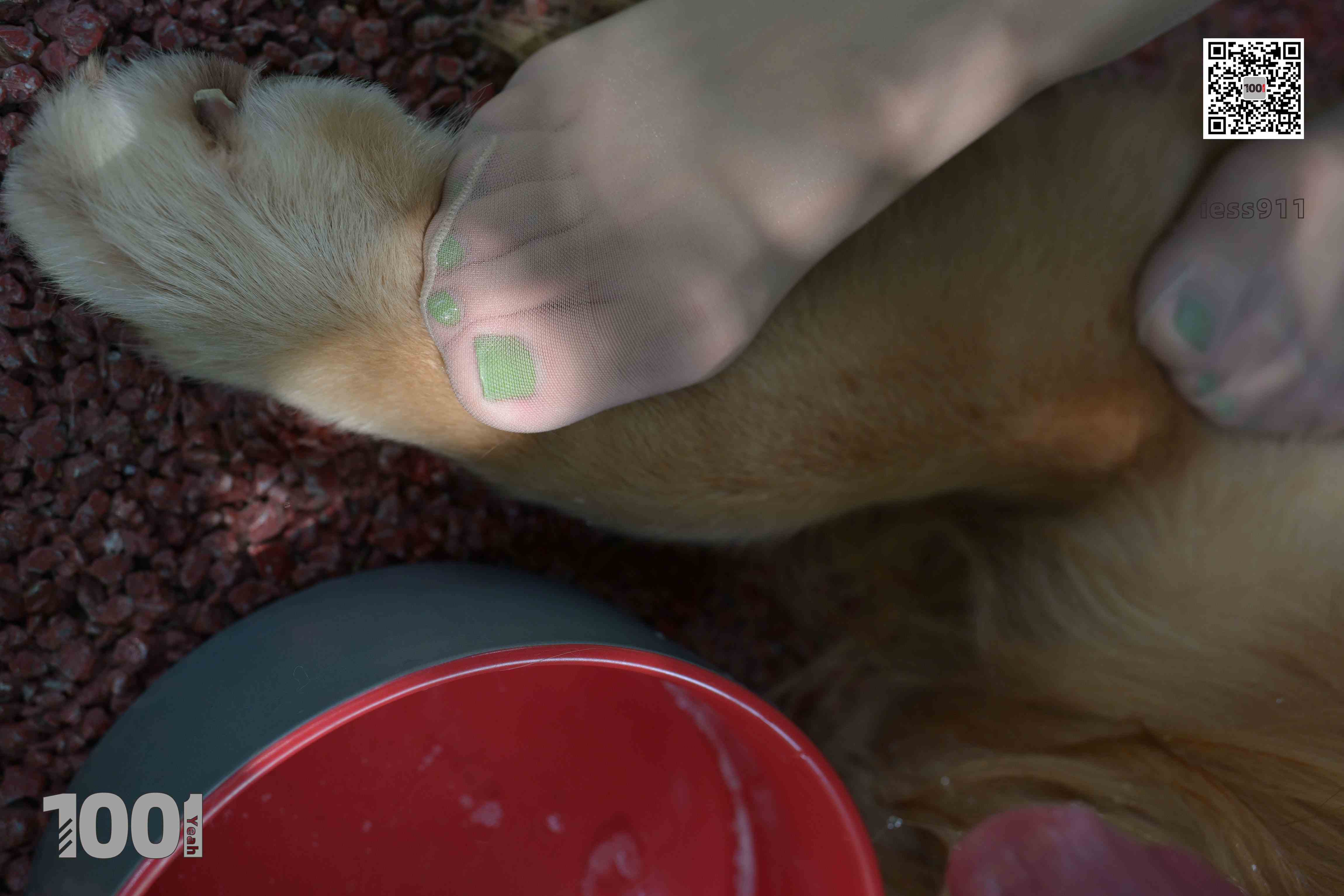 China Beauty Legs and feet 763-2