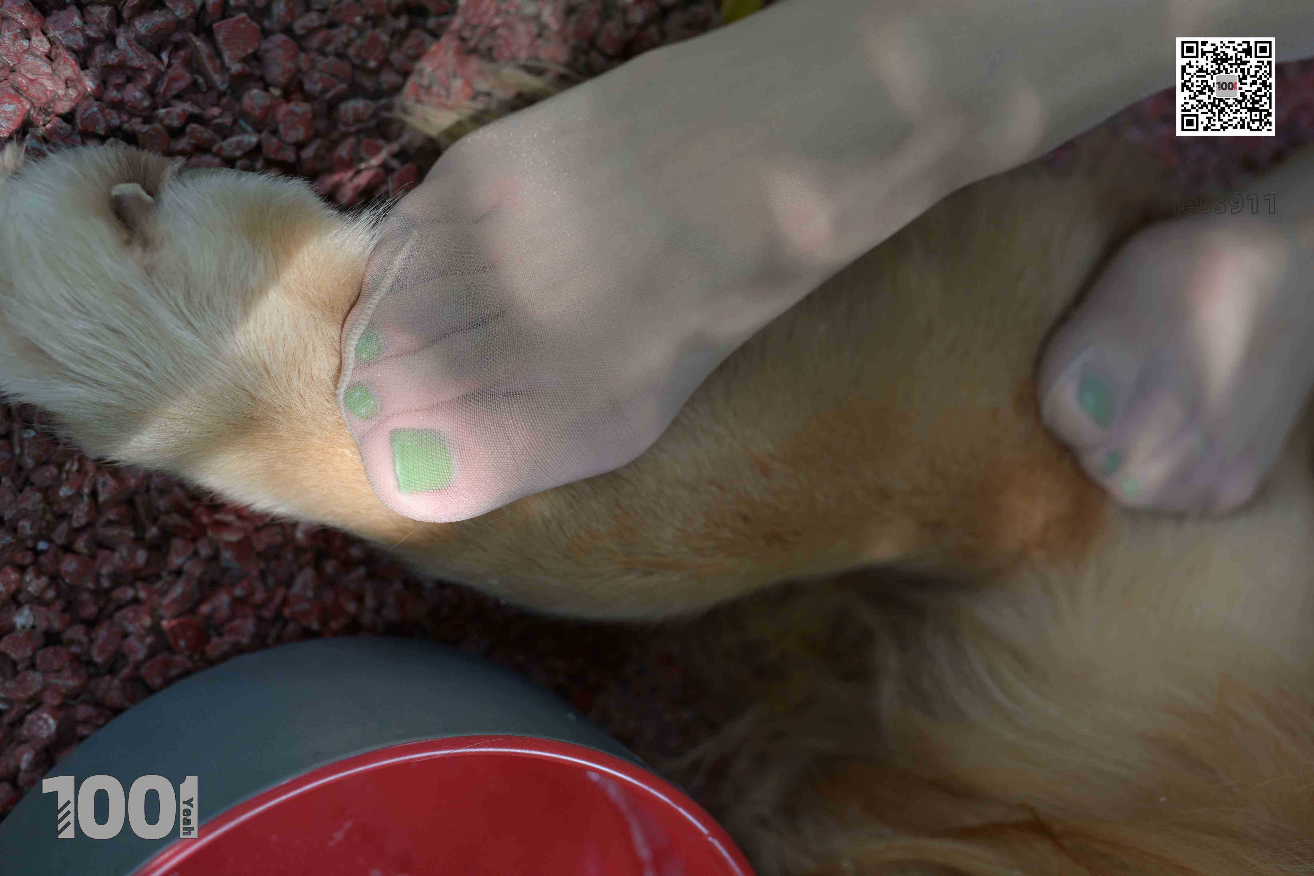 China Beauty Legs and feet 763-2